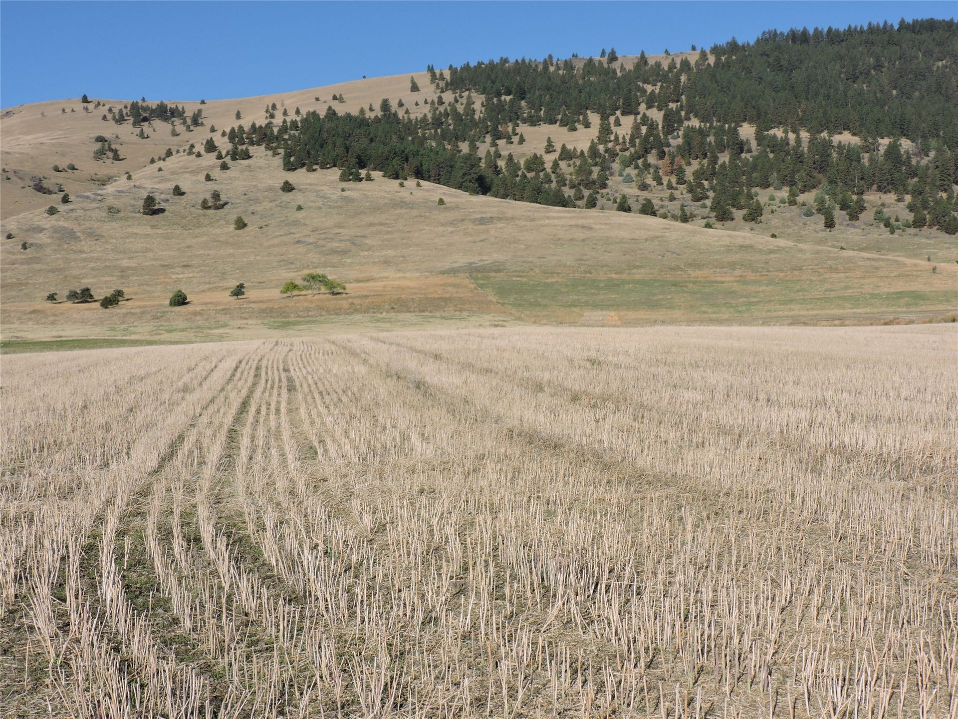 NHN Tower Road, Polson, MT 59860 NHN Tower Road, Polson, MT 59860
