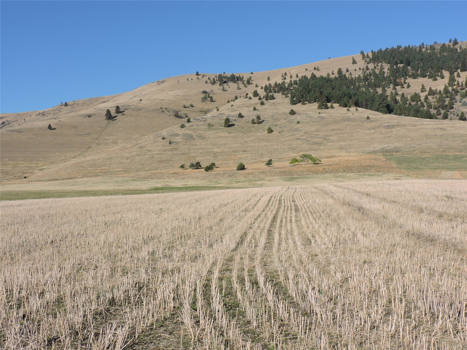 NHN Tower Road, Polson, MT 59860 NHN Tower Road, Polson, MT 59860