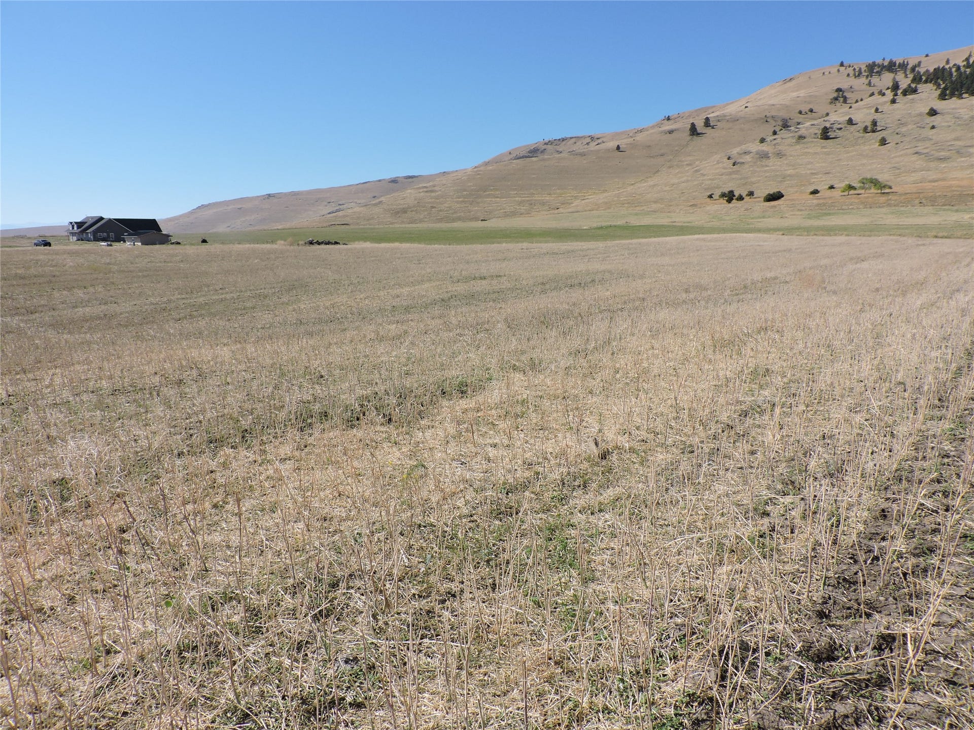 NHN Tower Road, Polson, MT 59860 NHN Tower Road, Polson, MT 59860