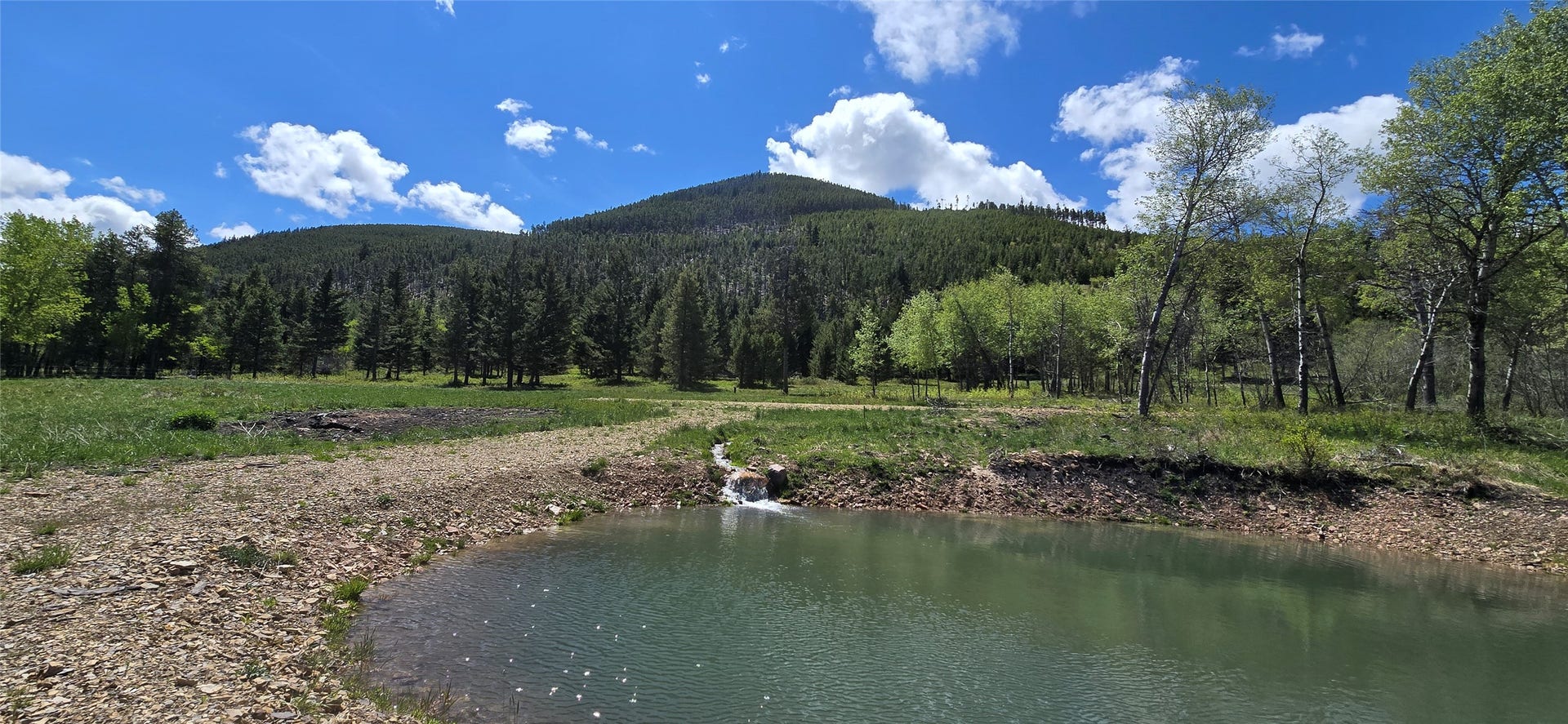 8 Tract Hall Creek, Helmville, MT 59843