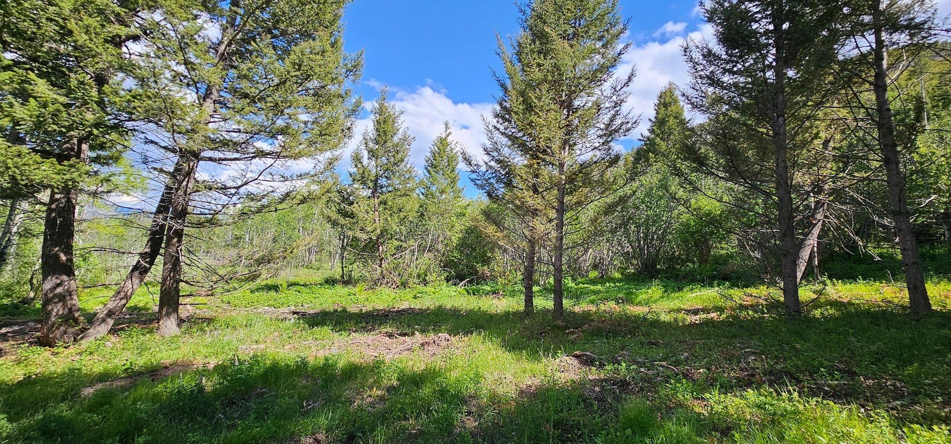 8 Tract Hall Creek, Helmville, MT 59843