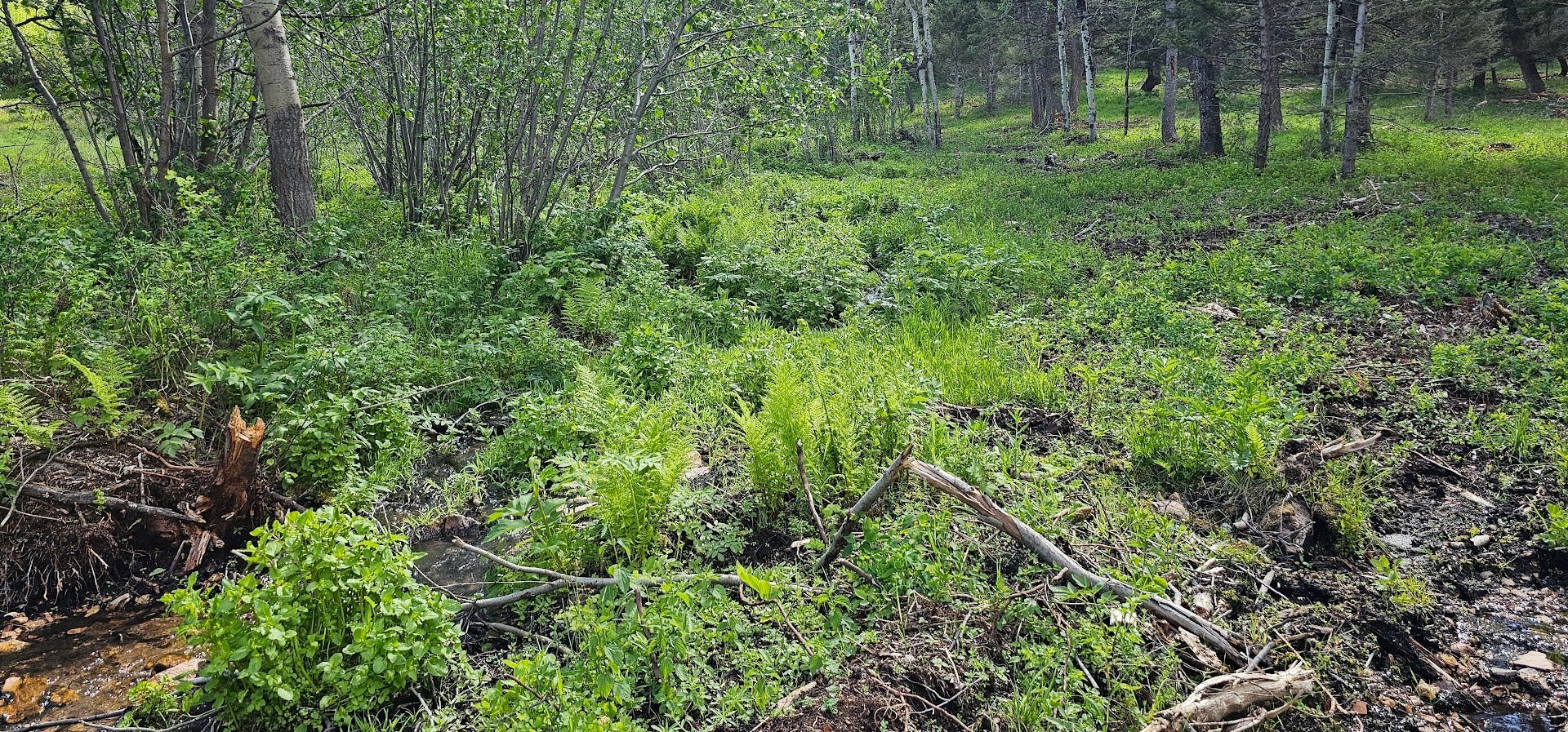 8 Tract Hall Creek, Helmville, MT 59843