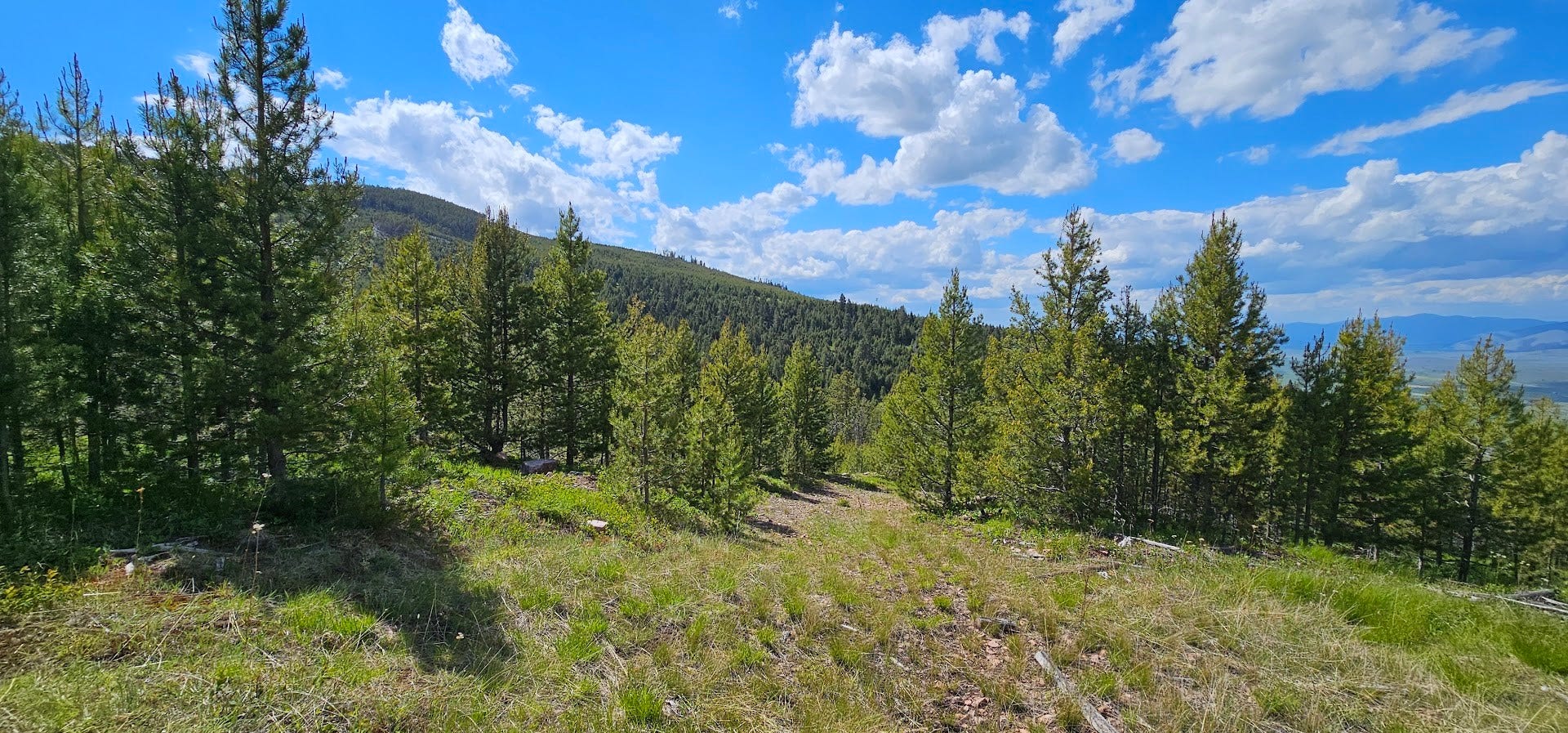 8 Tract Hall Creek, Helmville, MT 59843