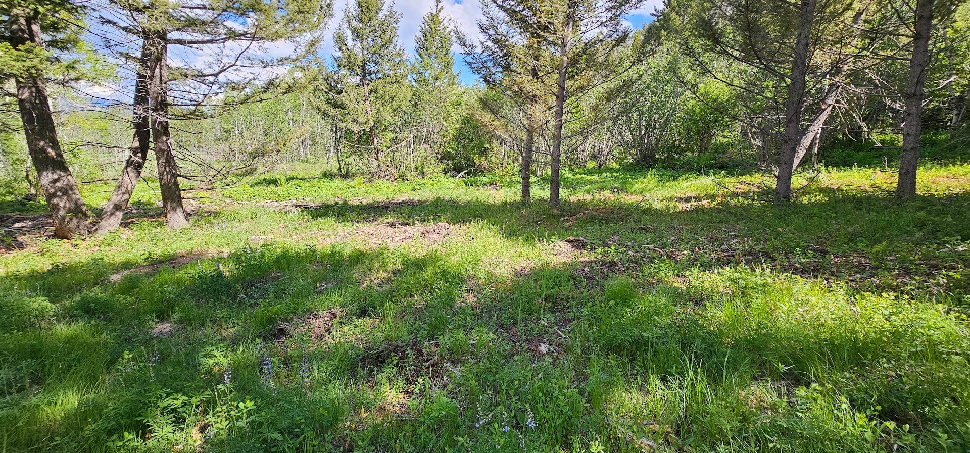 8 Tract Hall Creek, Helmville, MT 59843