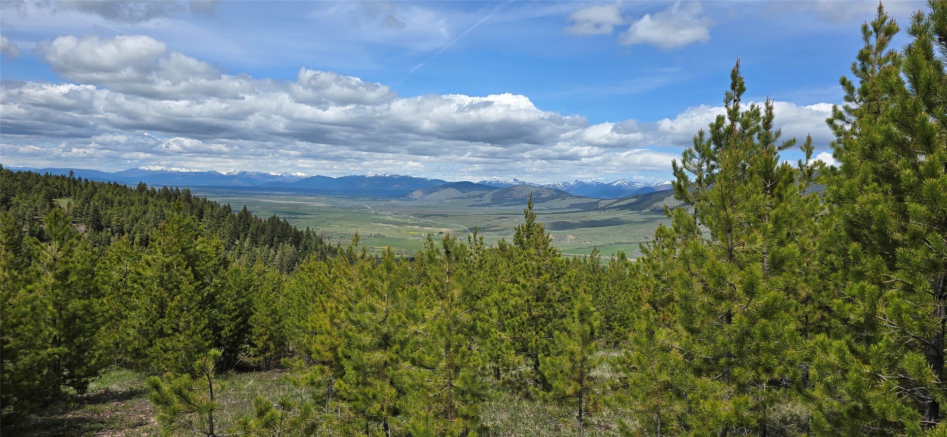 8 Tract Hall Creek, Helmville, MT 59843