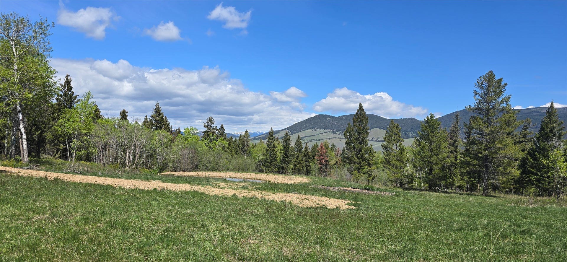 8 Tract Hall Creek, Helmville, MT 59843