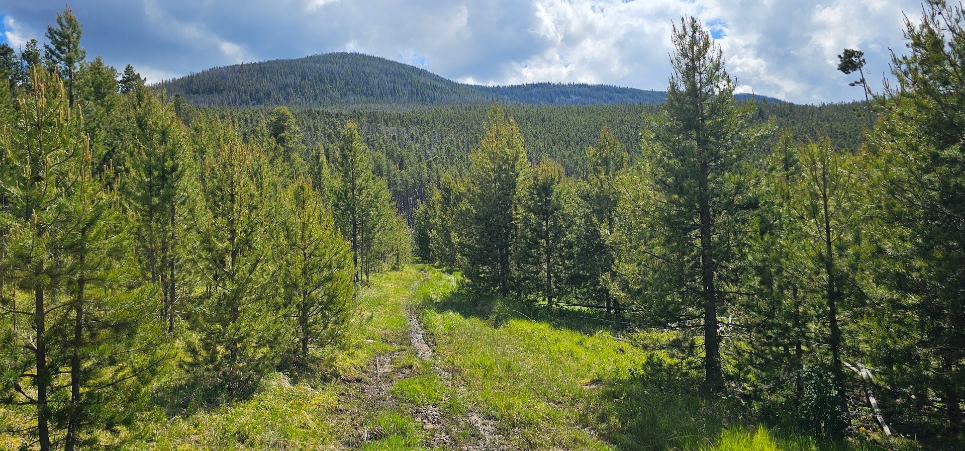 8 Tract Hall Creek, Helmville, MT 59843