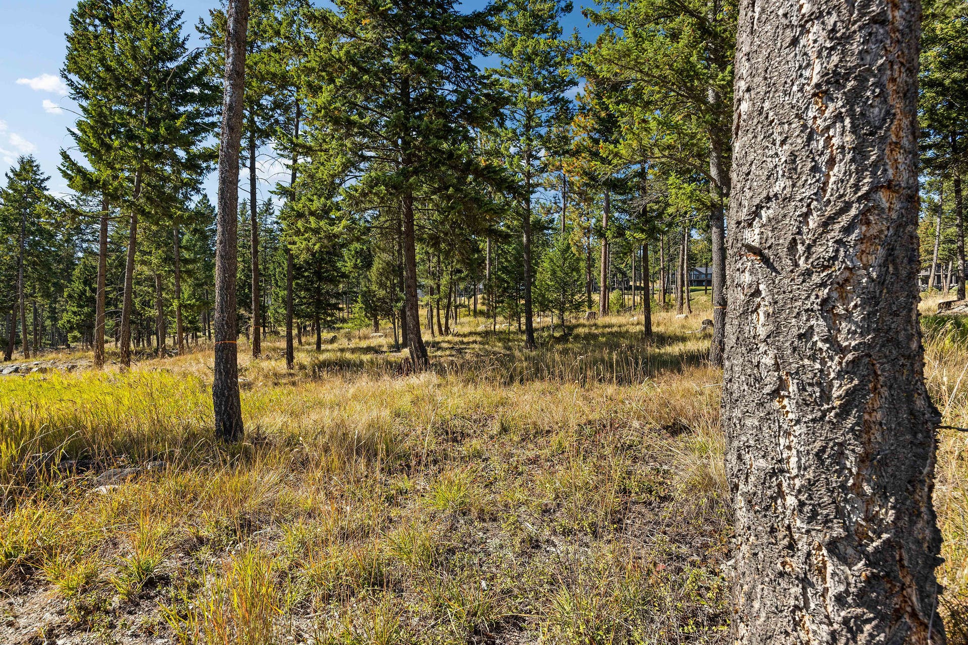 287 Spurwing Loop, Lakeside, MT 59922 287 Spurwing Loop, Lakeside, MT 59922