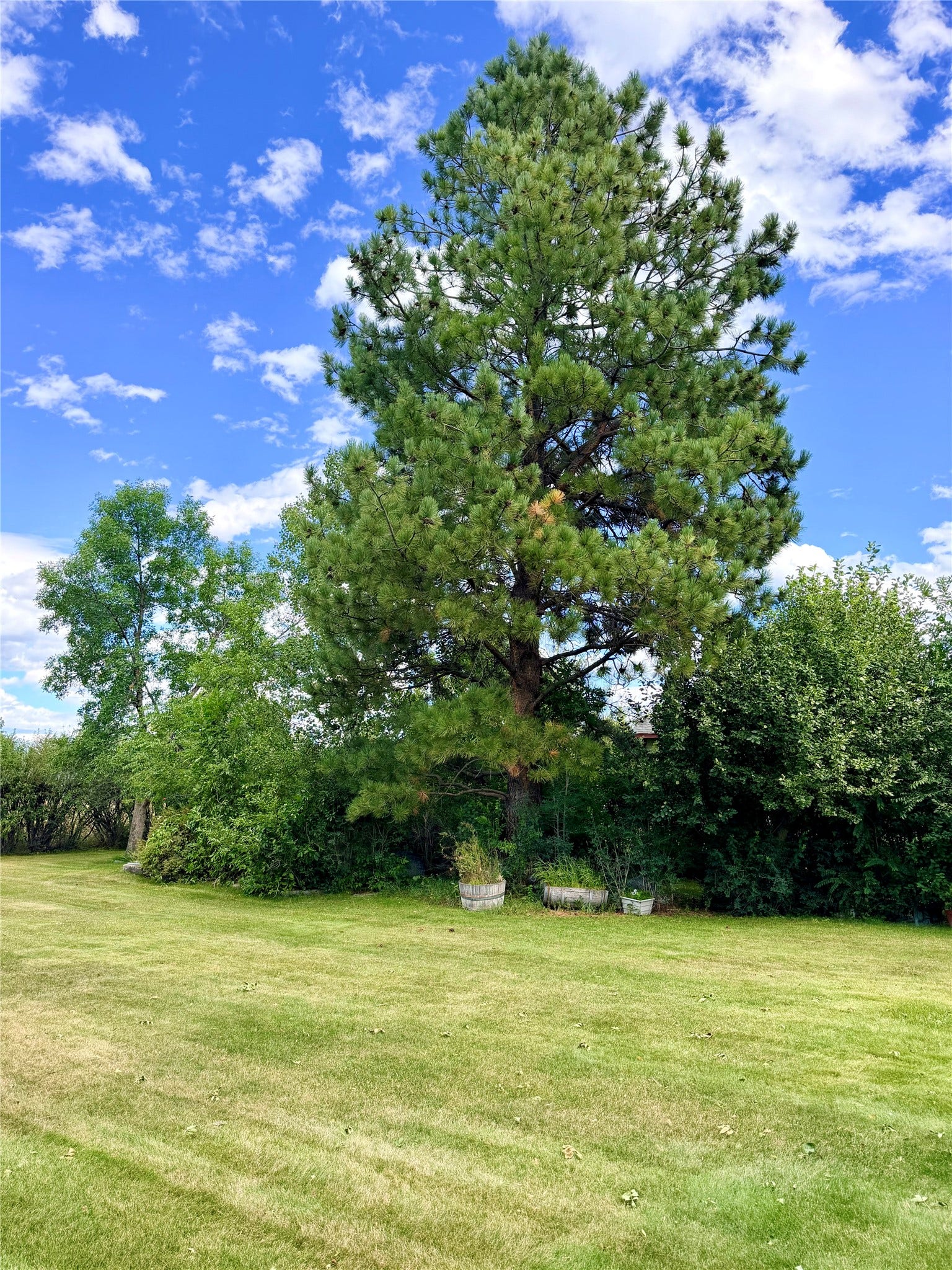 840 Vallejo Road, Helena, MT 59602