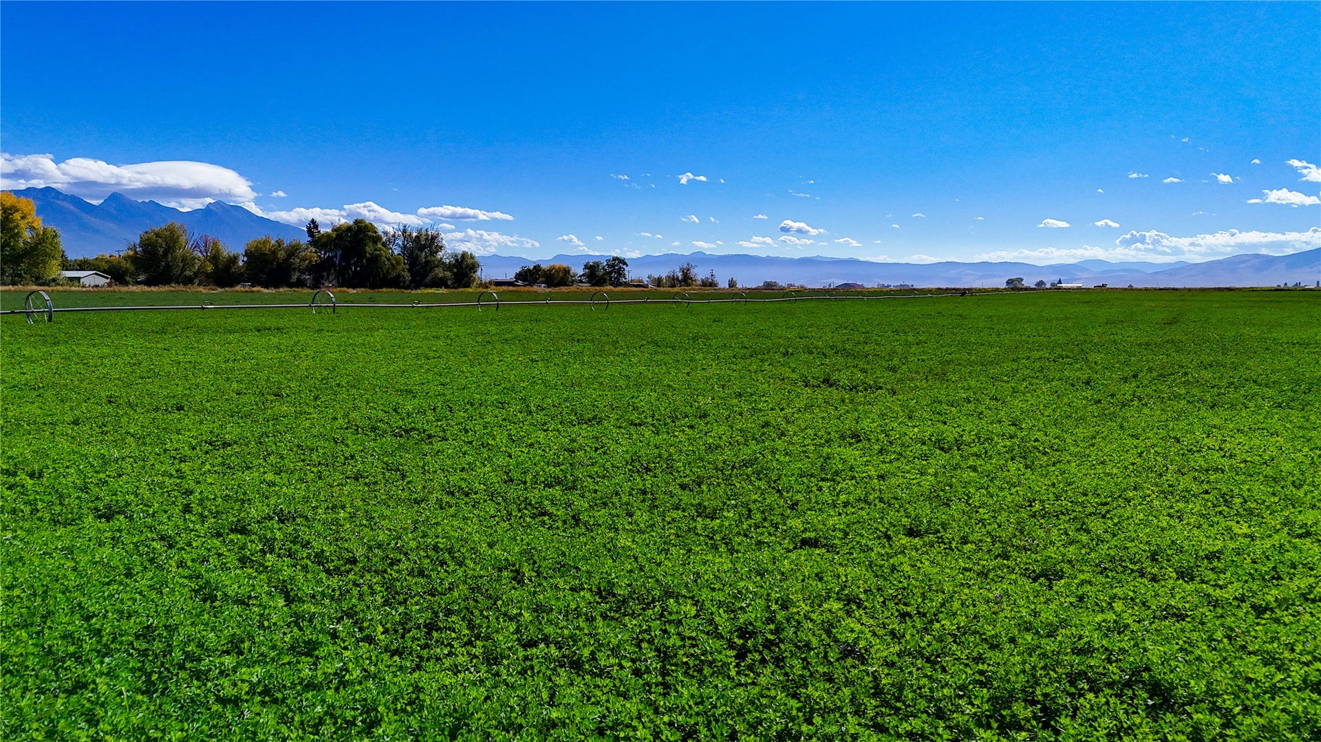NHN Herak Road, Charlo, MT 59824 NHN Herak Road, Charlo, MT 59824