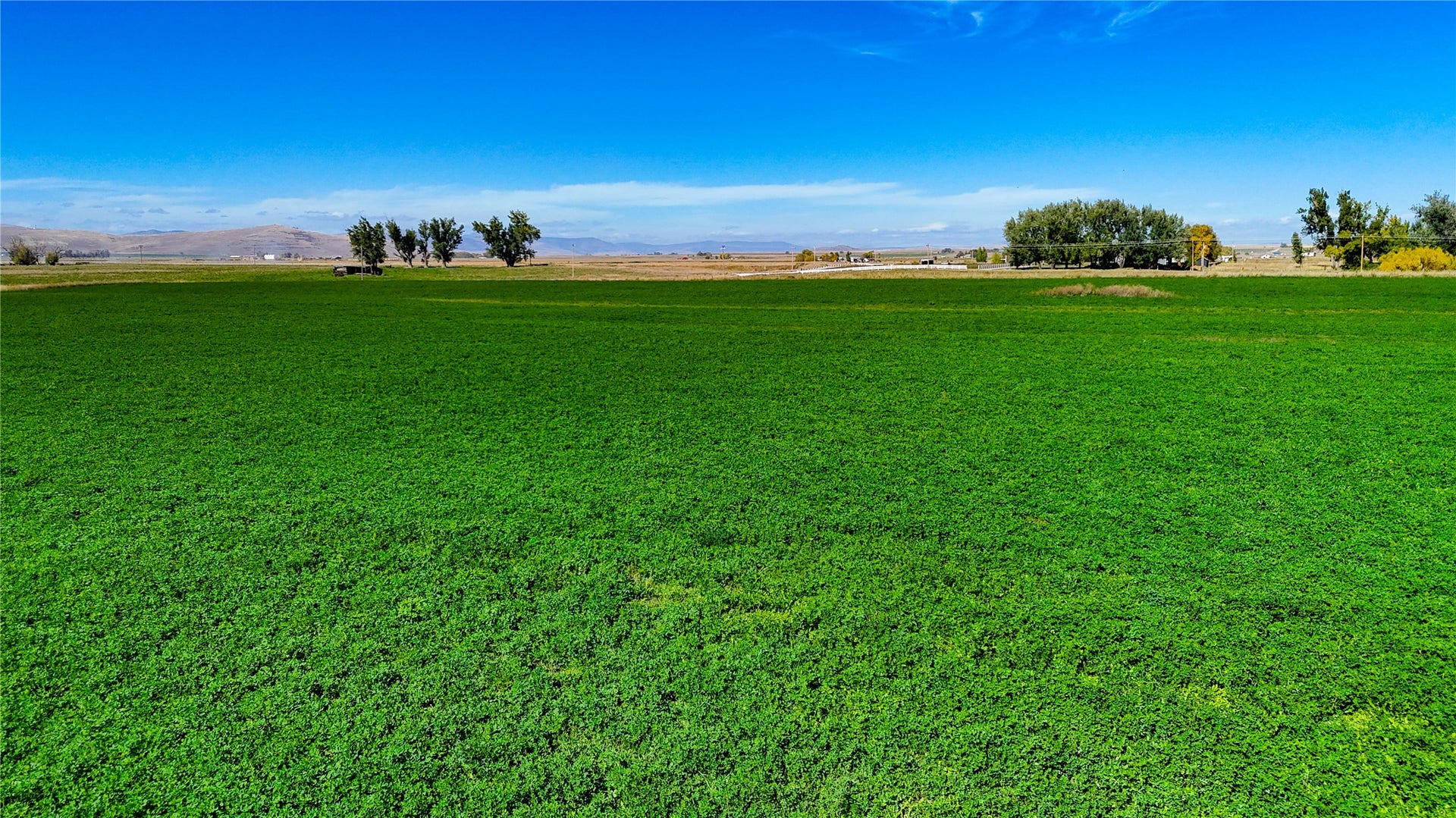 NHN Herak Road, Charlo, MT 59824 NHN Herak Road, Charlo, MT 59824