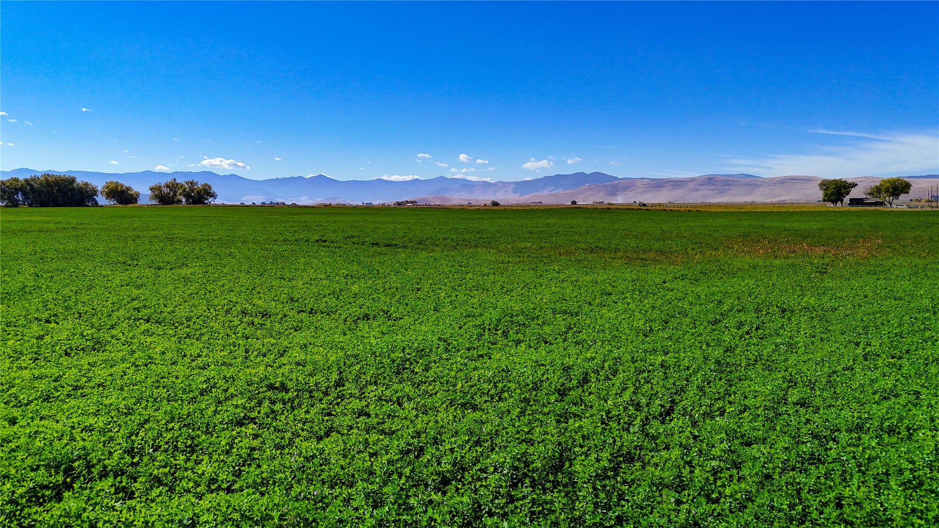 NHN Herak Road, Charlo, MT 59824 NHN Herak Road, Charlo, MT 59824