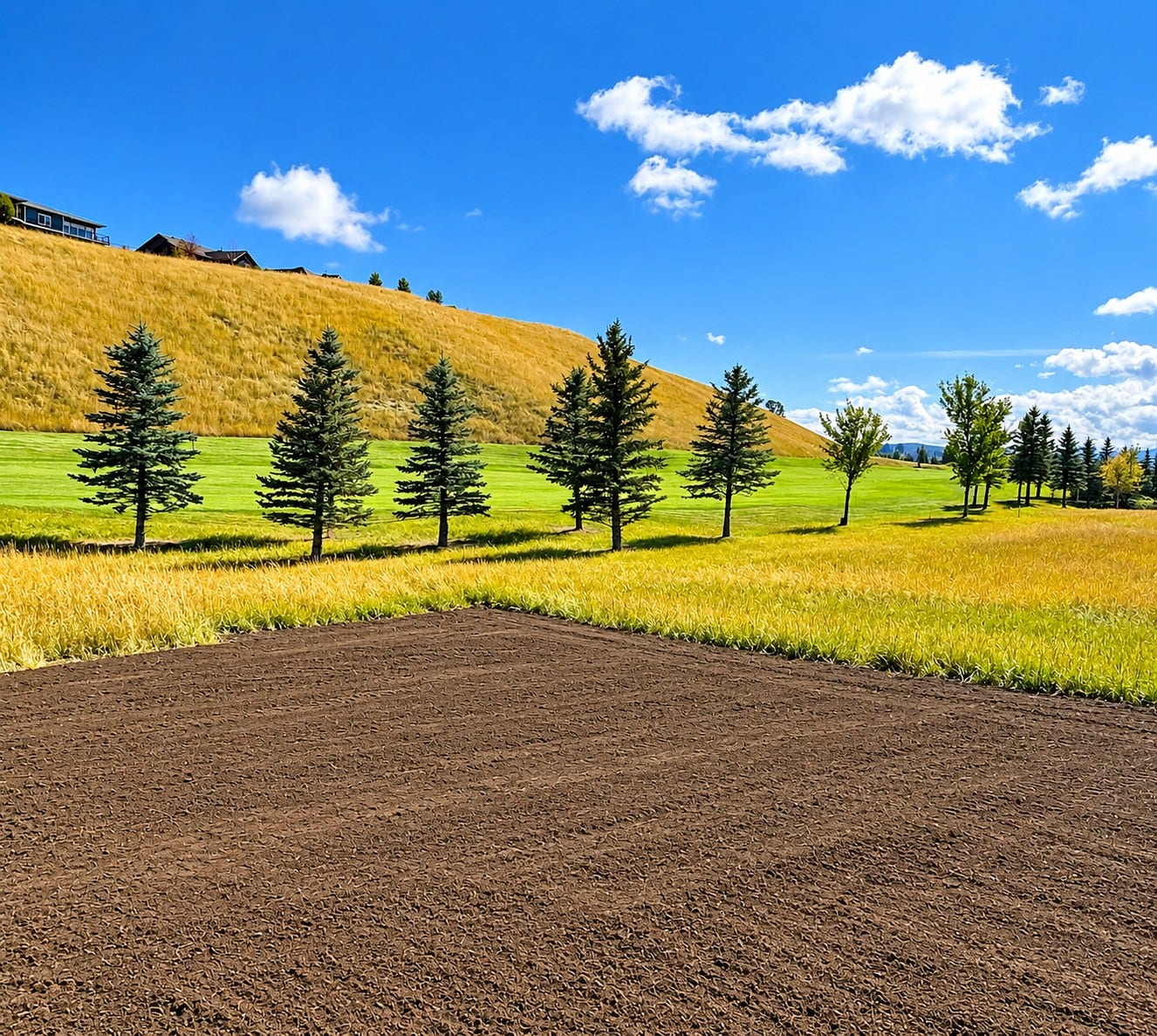 147 Peltier Place, Eureka, MT 59917 View