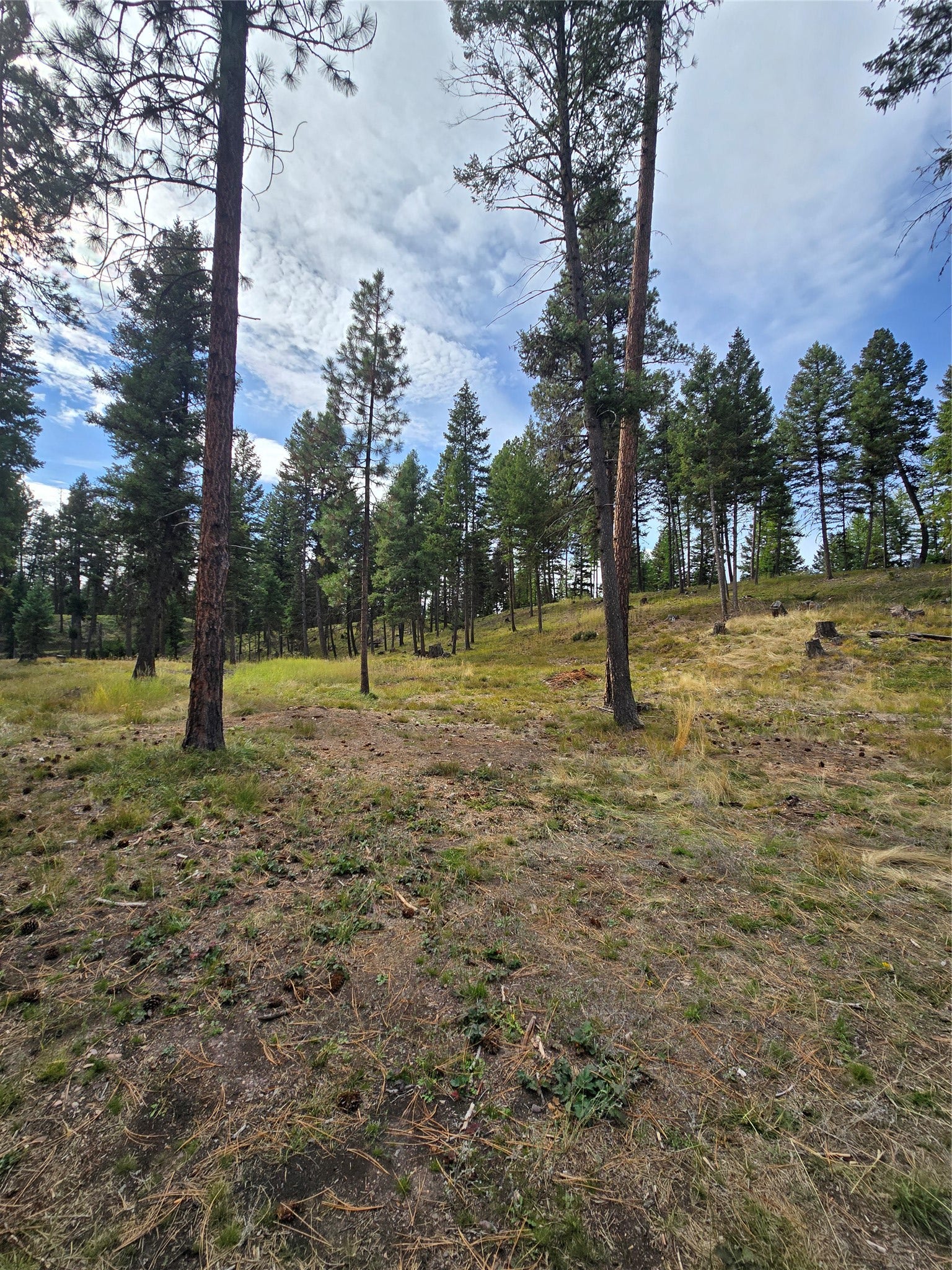 125 Moose Lane, Seeley Lake, MT 59868