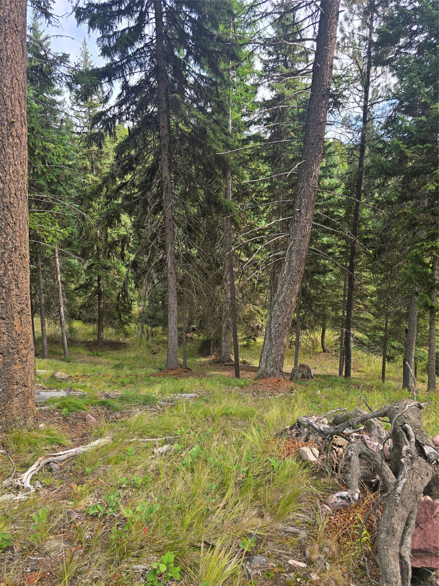 125 Moose Lane, Seeley Lake, MT 59868
