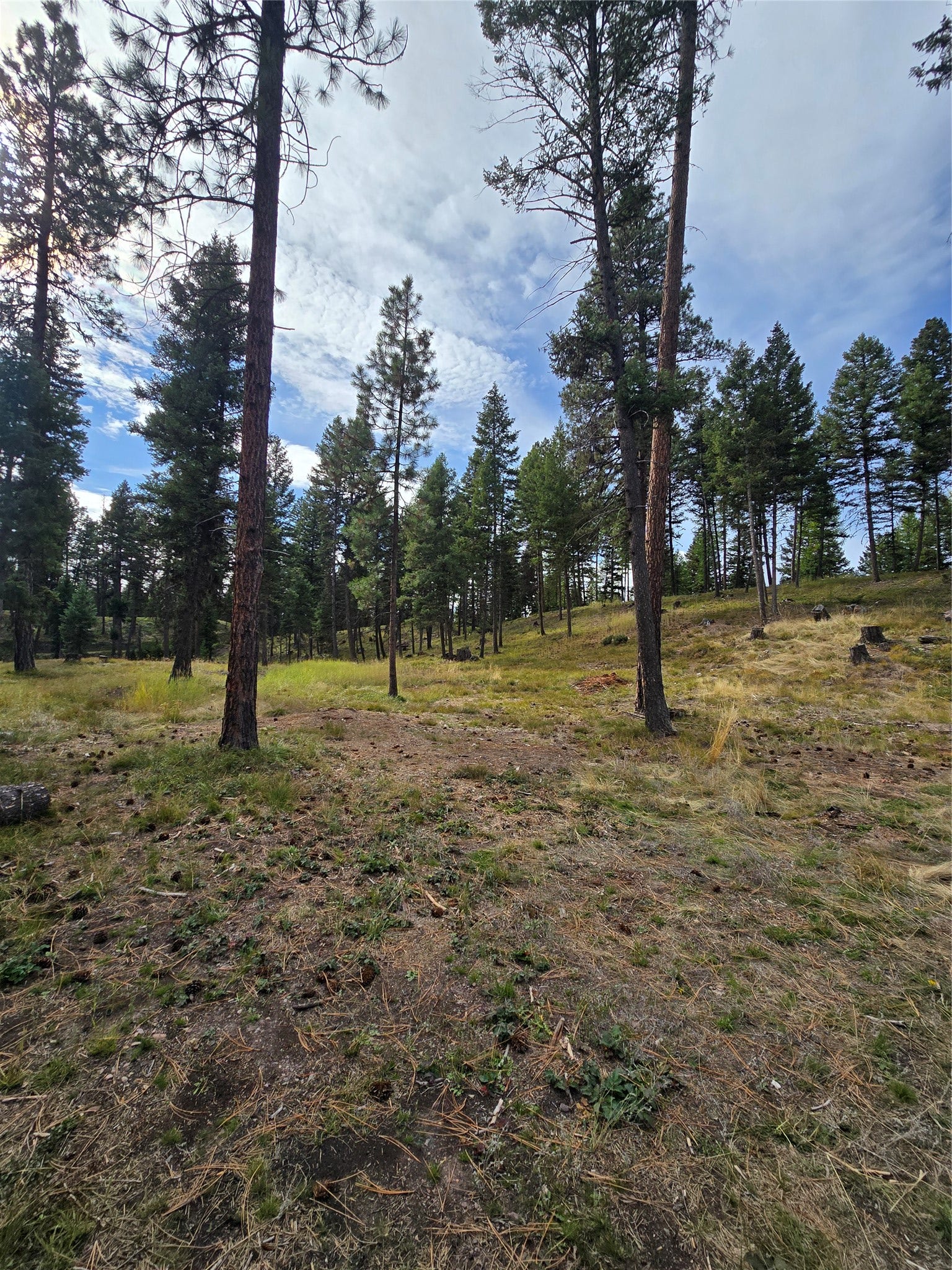 125 Moose Lane, Seeley Lake, MT 59868