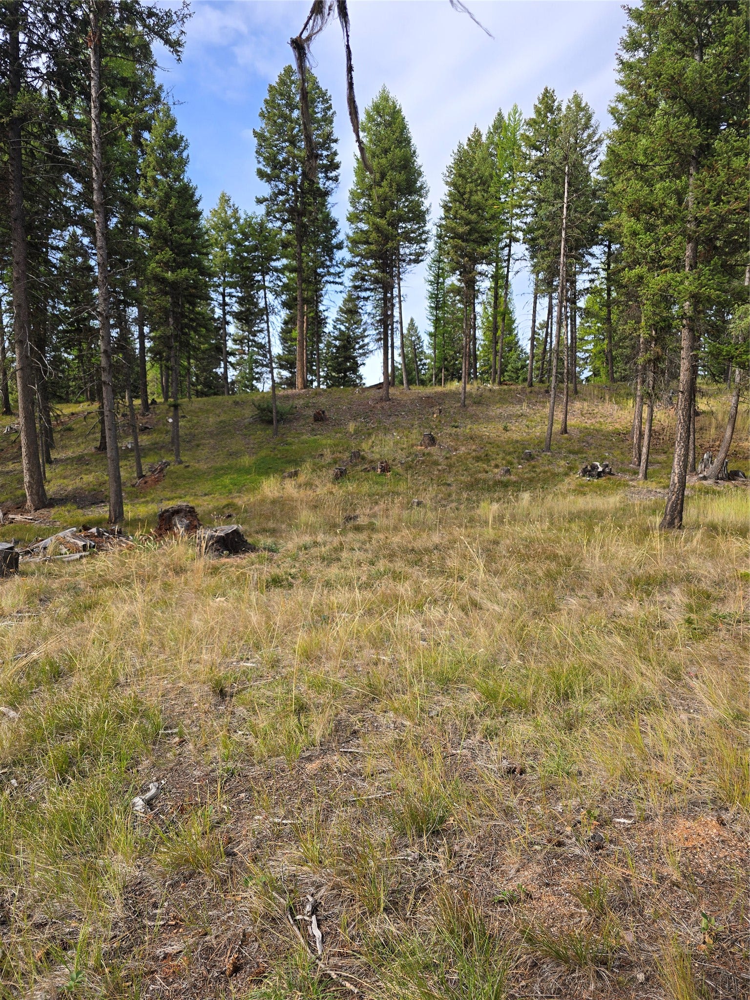 125 Moose Lane, Seeley Lake, MT 59868