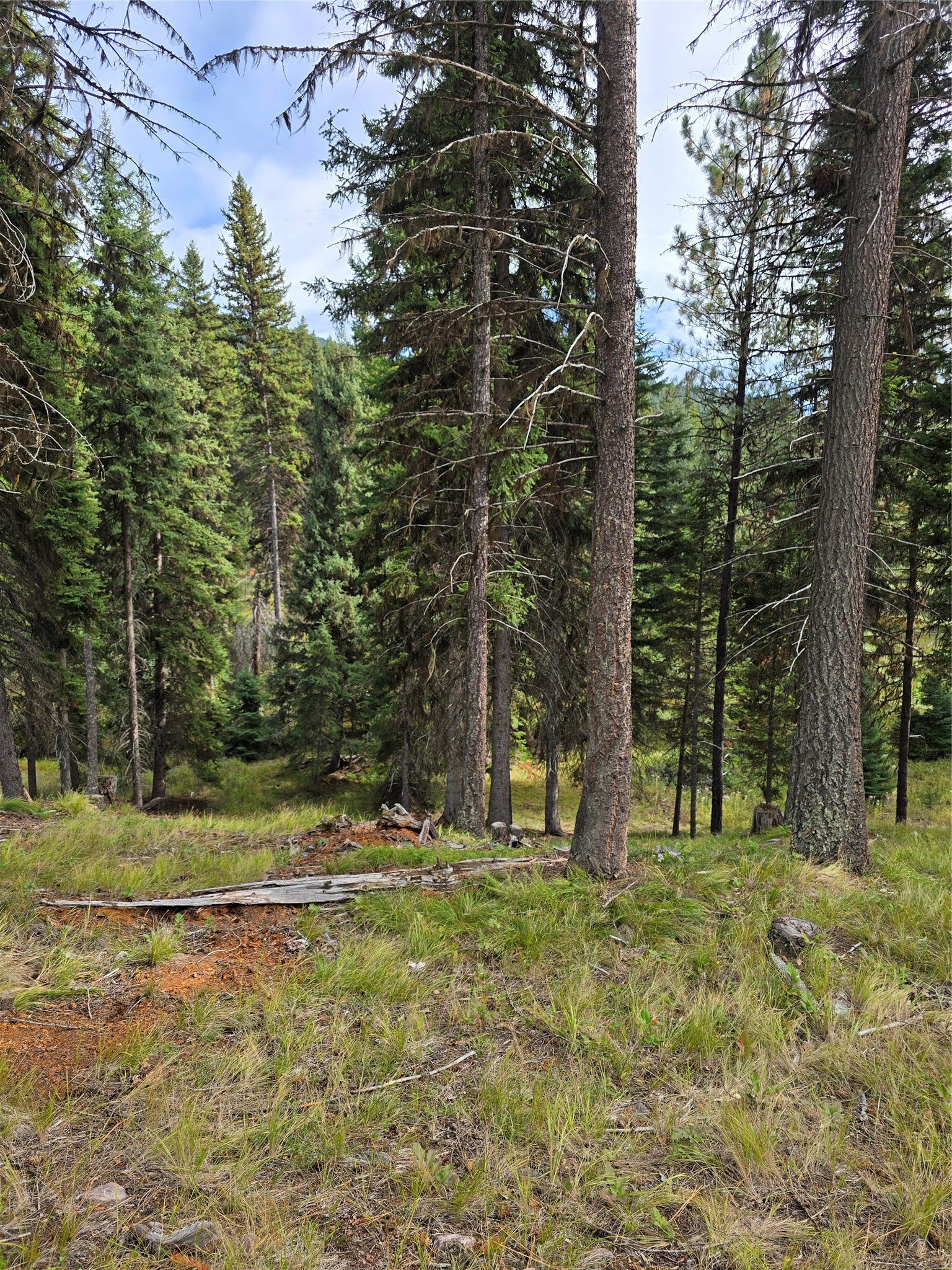 125 Moose Lane, Seeley Lake, MT 59868