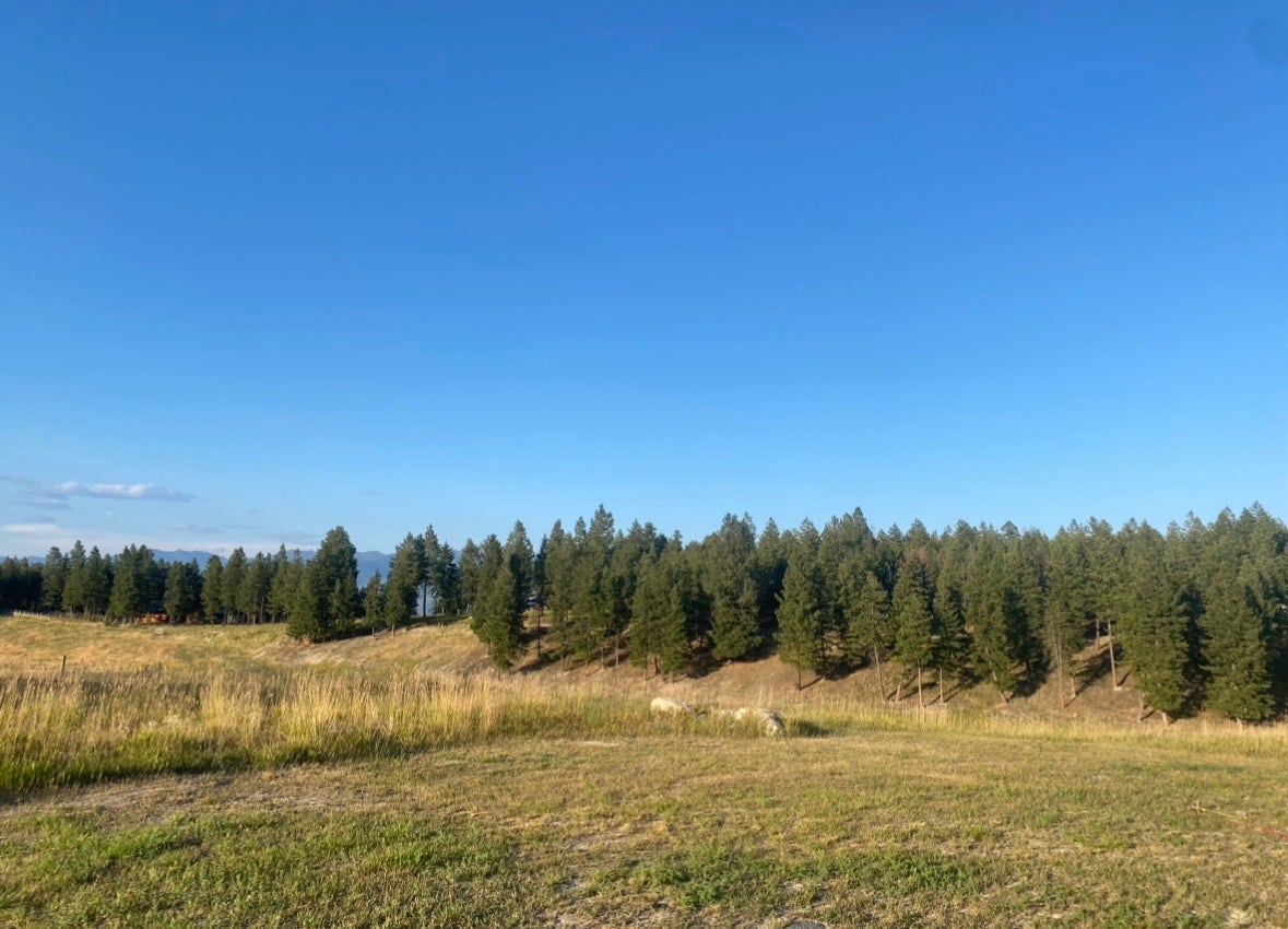 NHN Border Lane, Rexford, MT 59930 NHN Border Lane, Rexford, MT 59930