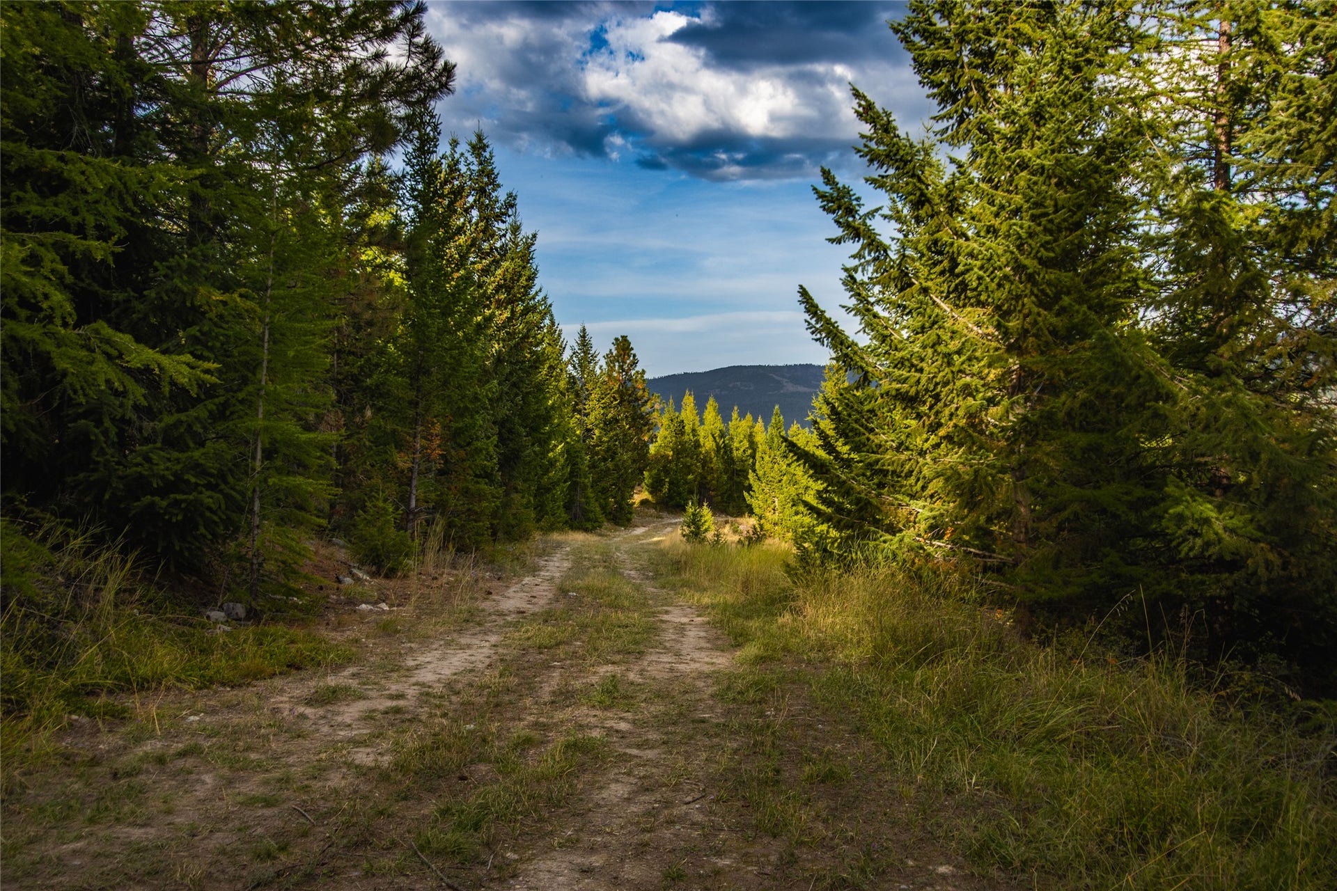 NHN & 232 Wild Bill Trail, Kila, MT 59920