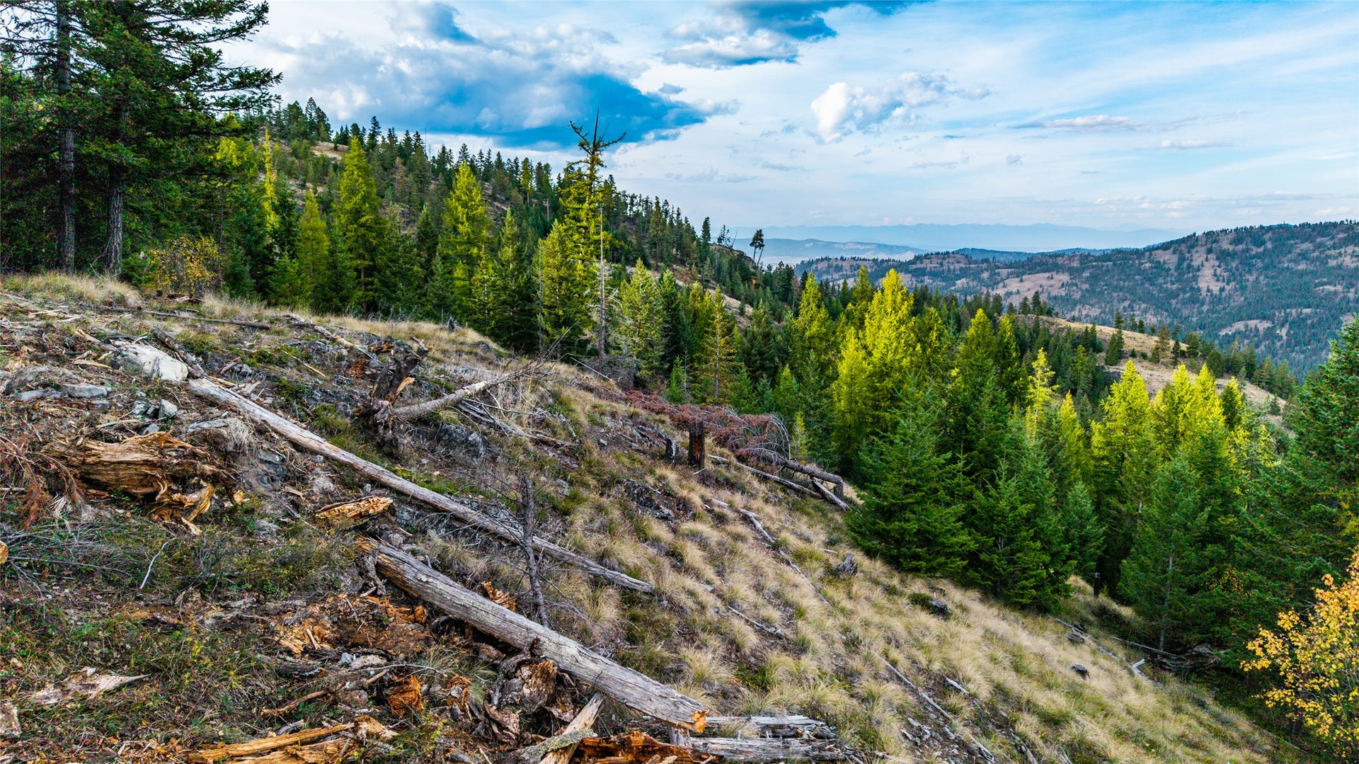 NHN & 232 Wild Bill Trail, Kila, MT 59920