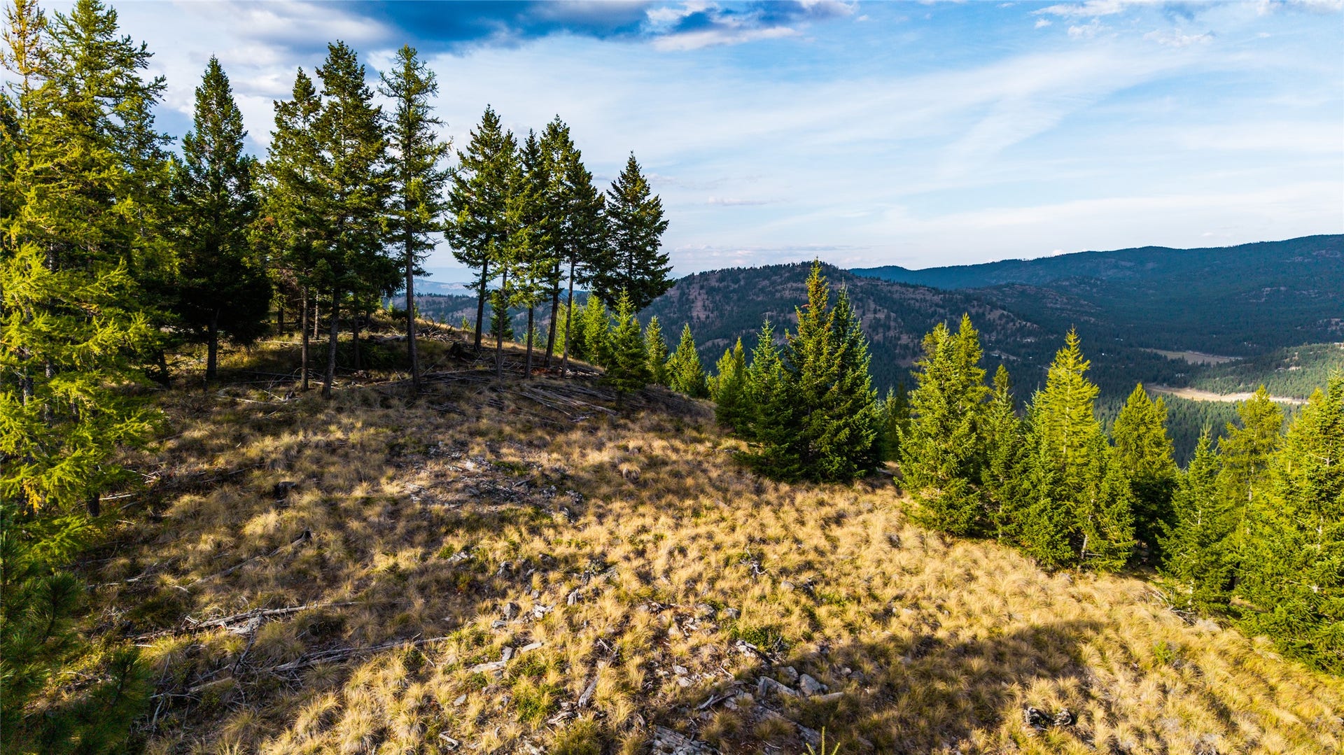 NHN & 232 Wild Bill Trail, Kila, MT 59920