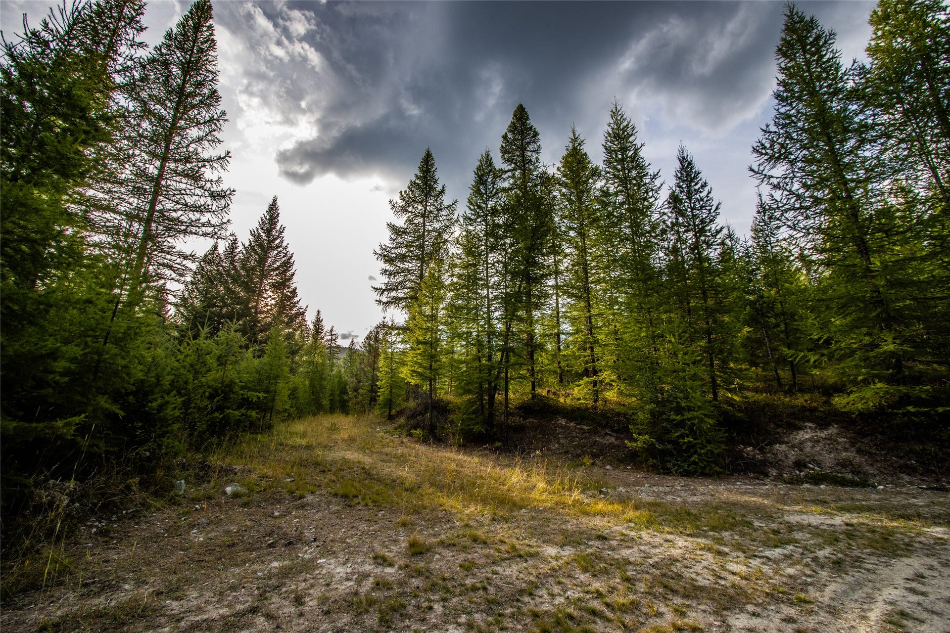 NHN & 232 Wild Bill Trail, Kila, MT 59920