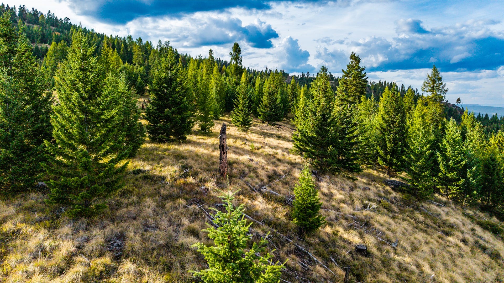 NHN & 232 Wild Bill Trail, Kila, MT 59920