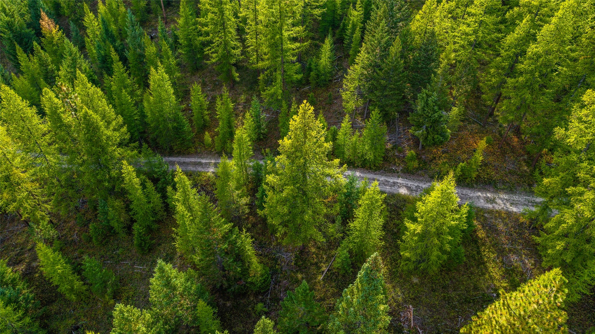 NHN & 232 Wild Bill Trail, Kila, MT 59920