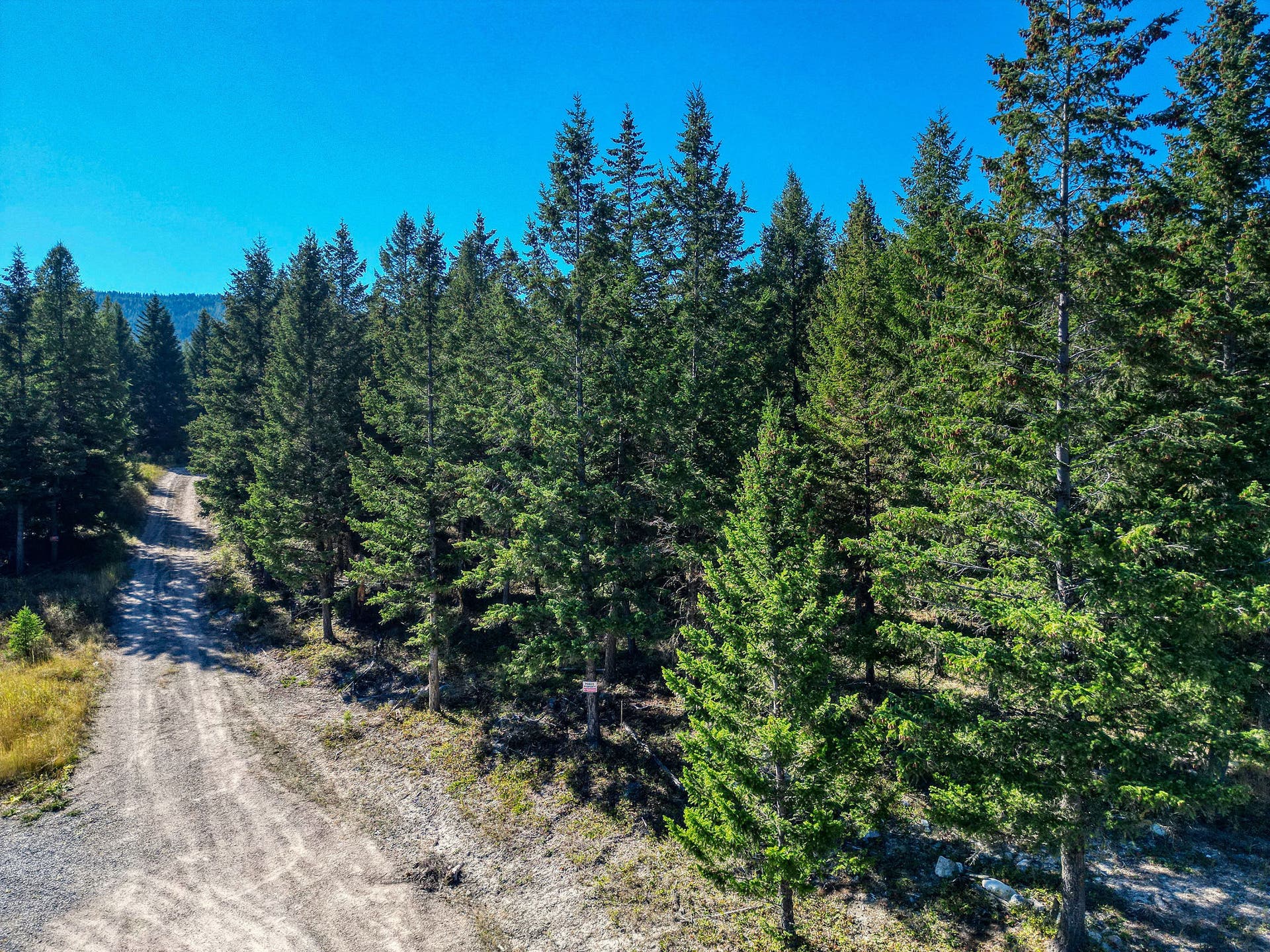 Road on Subject Property