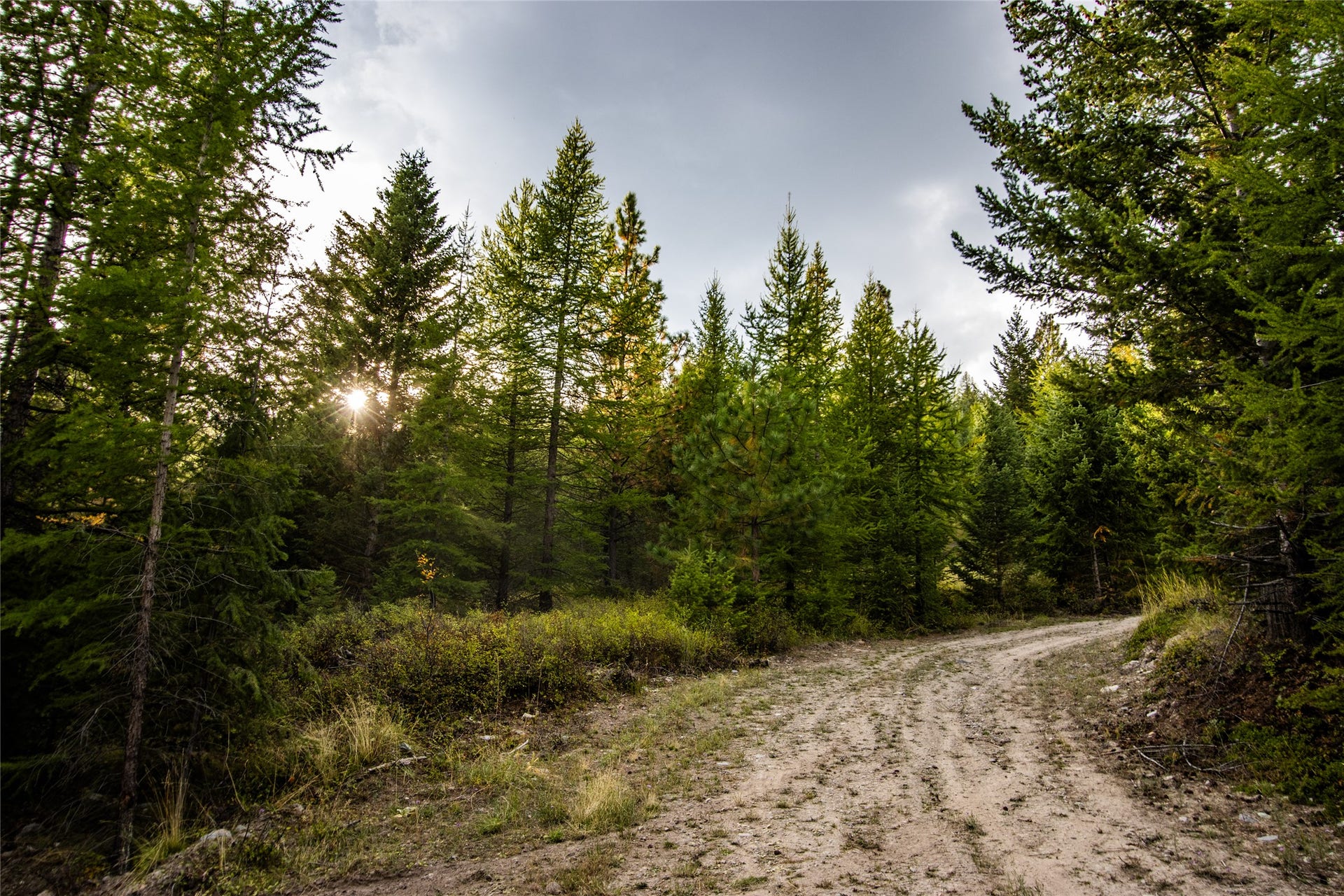 NHN & 232 Wild Bill Trail, Kila, MT 59920