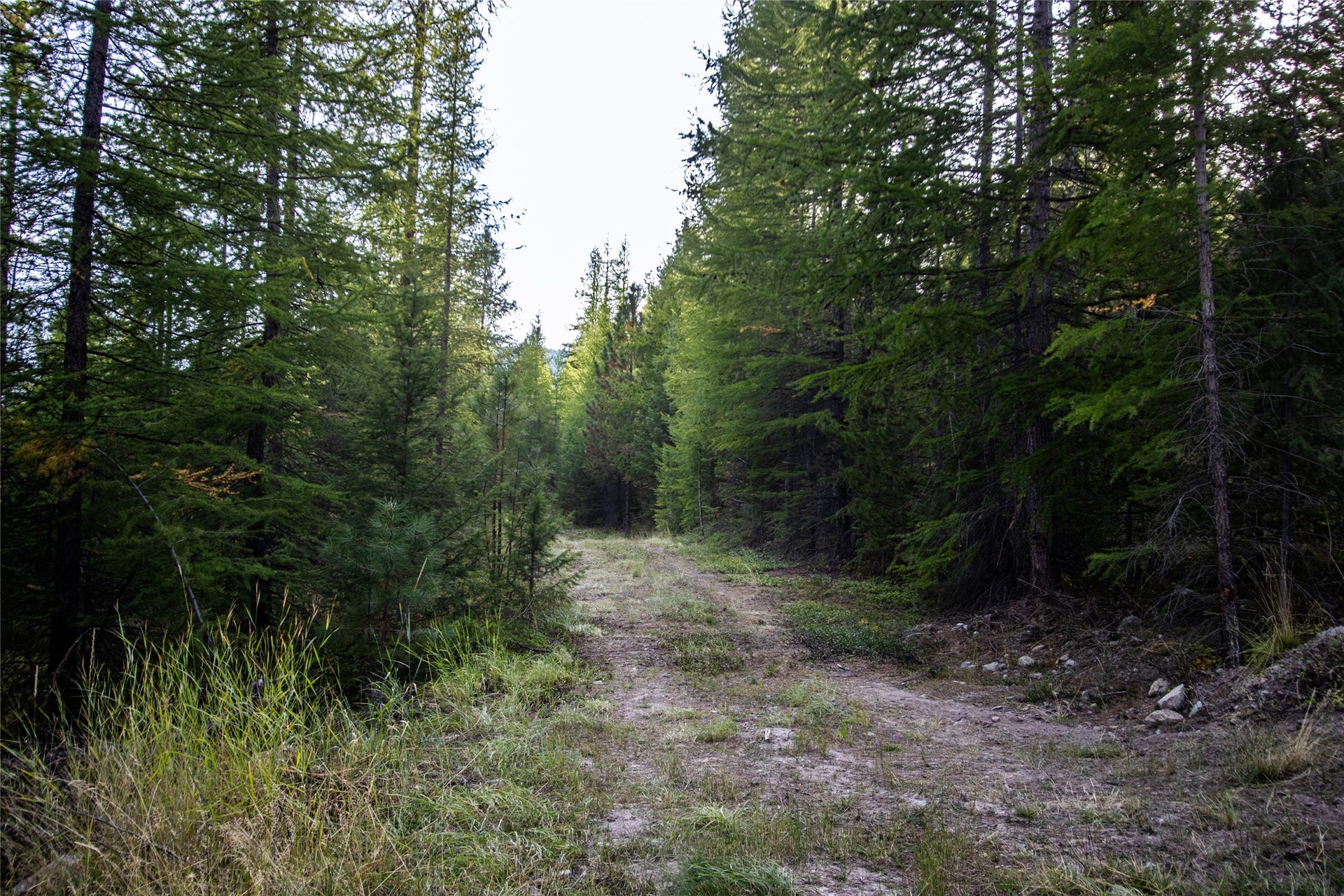 NHN & 232 Wild Bill Trail, Kila, MT 59920