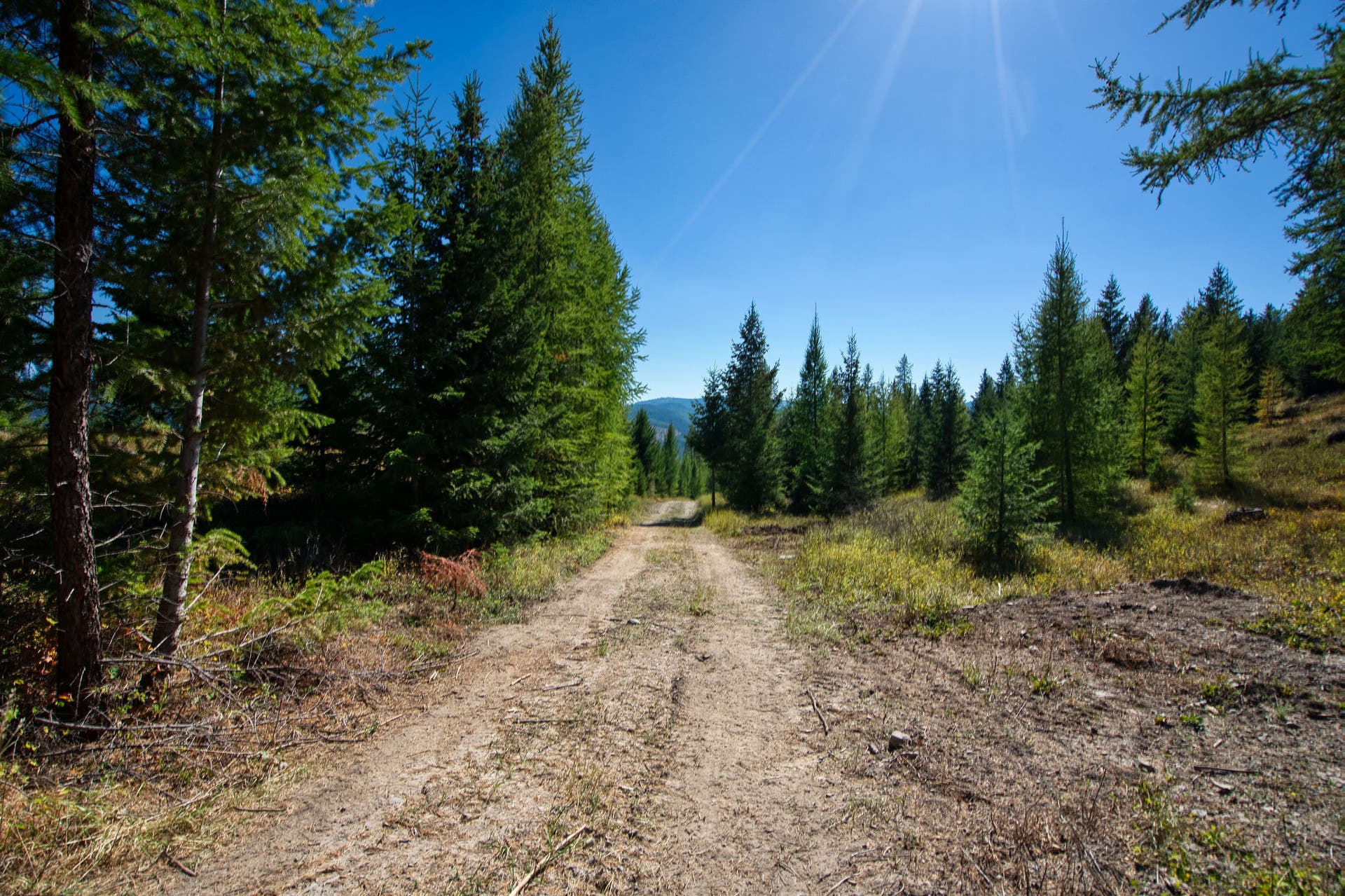 Road on Subject Property