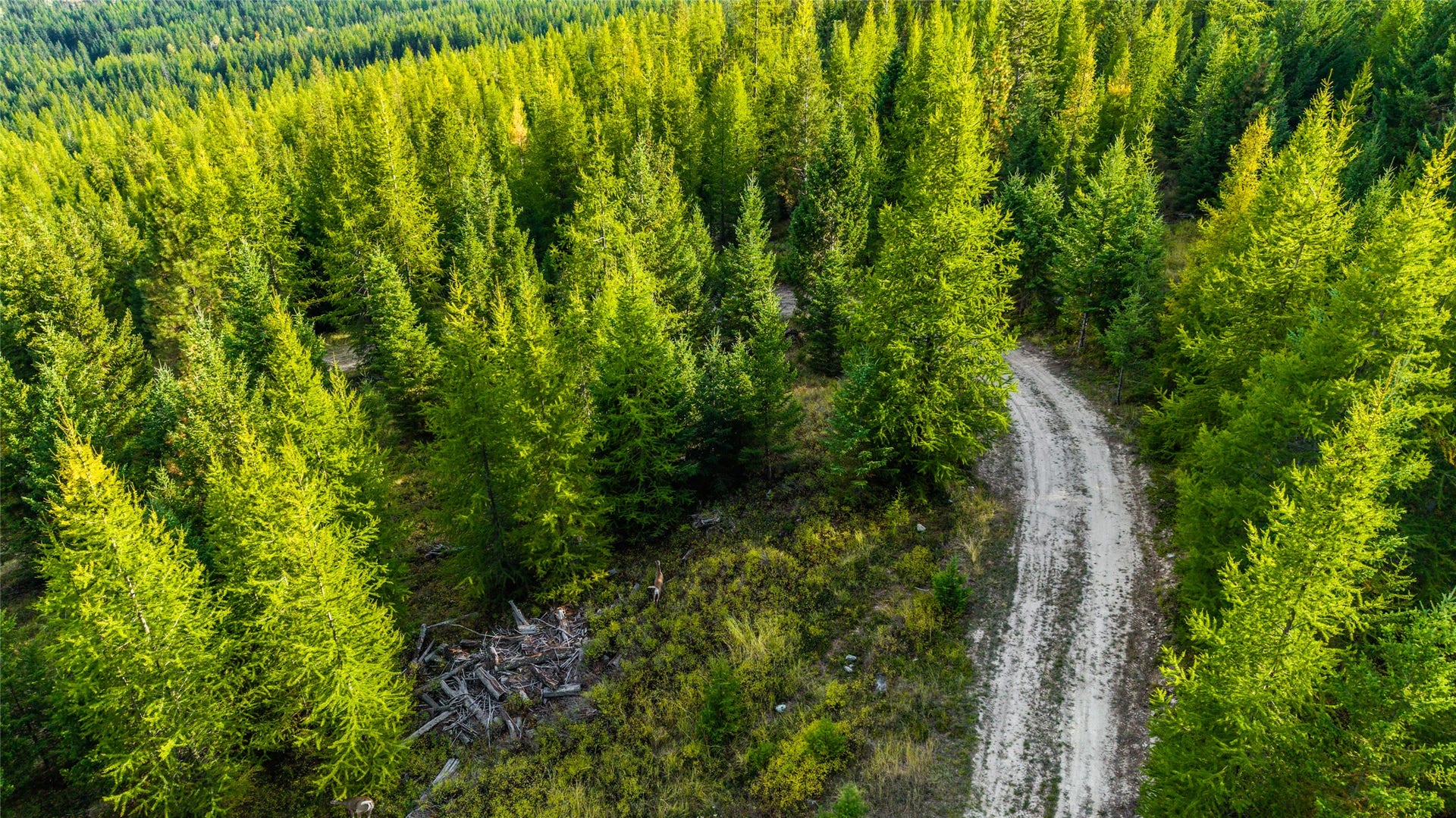 NHN & 232 Wild Bill Trail, Kila, MT 59920