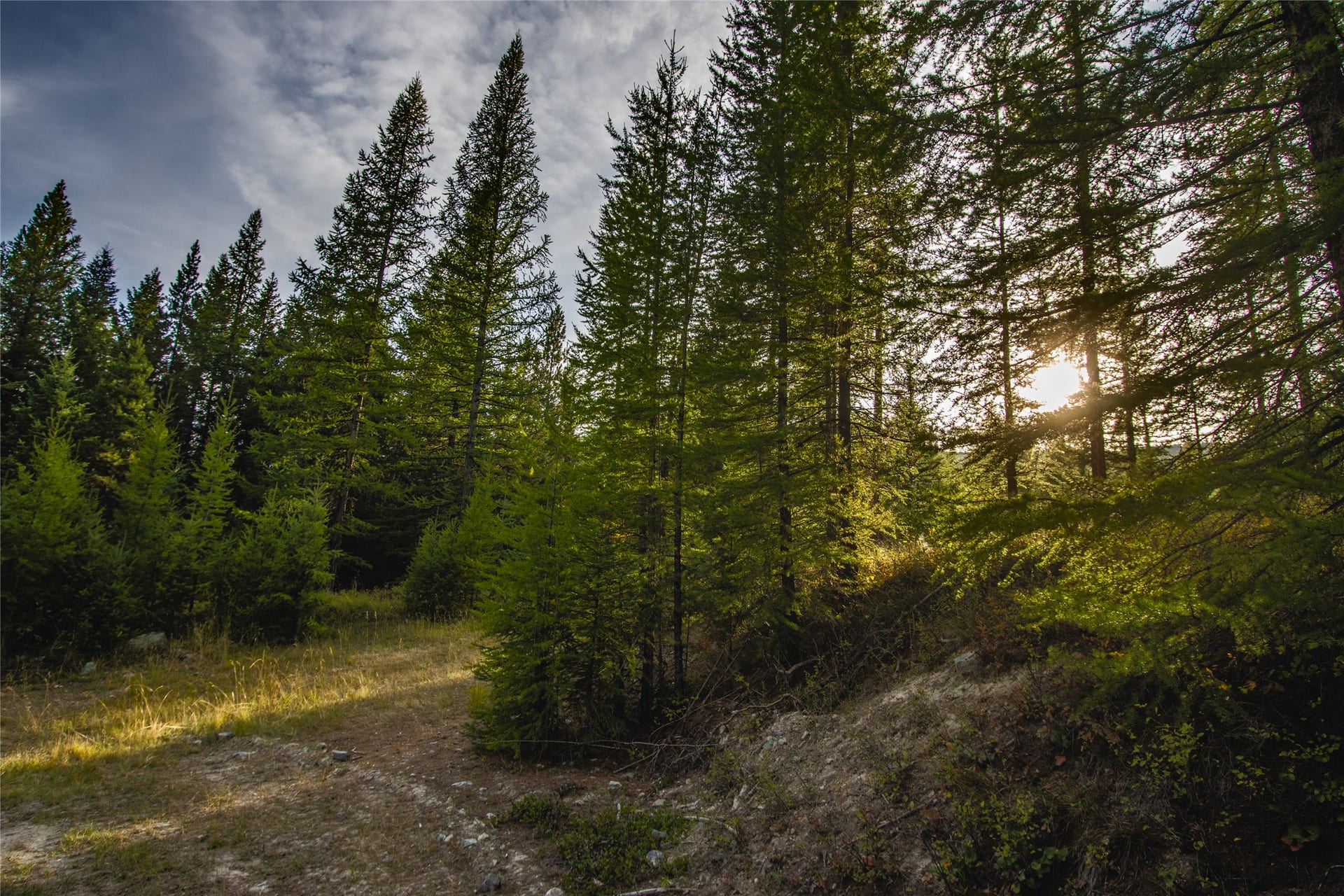 NHN & 232 Wild Bill Trail, Kila, MT 59920