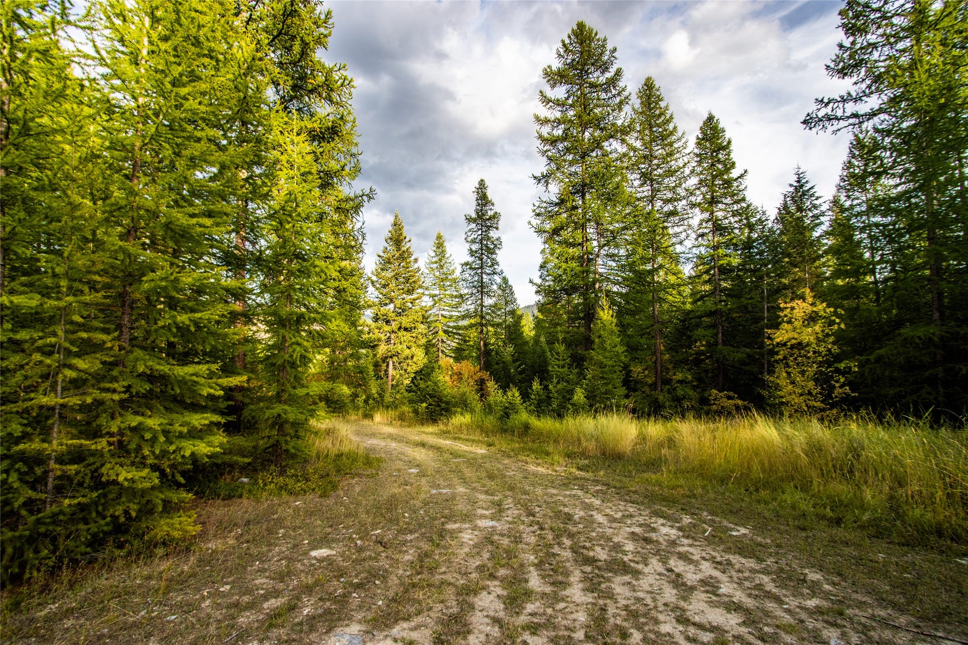NHN & 232 Wild Bill Trail, Kila, MT 59920