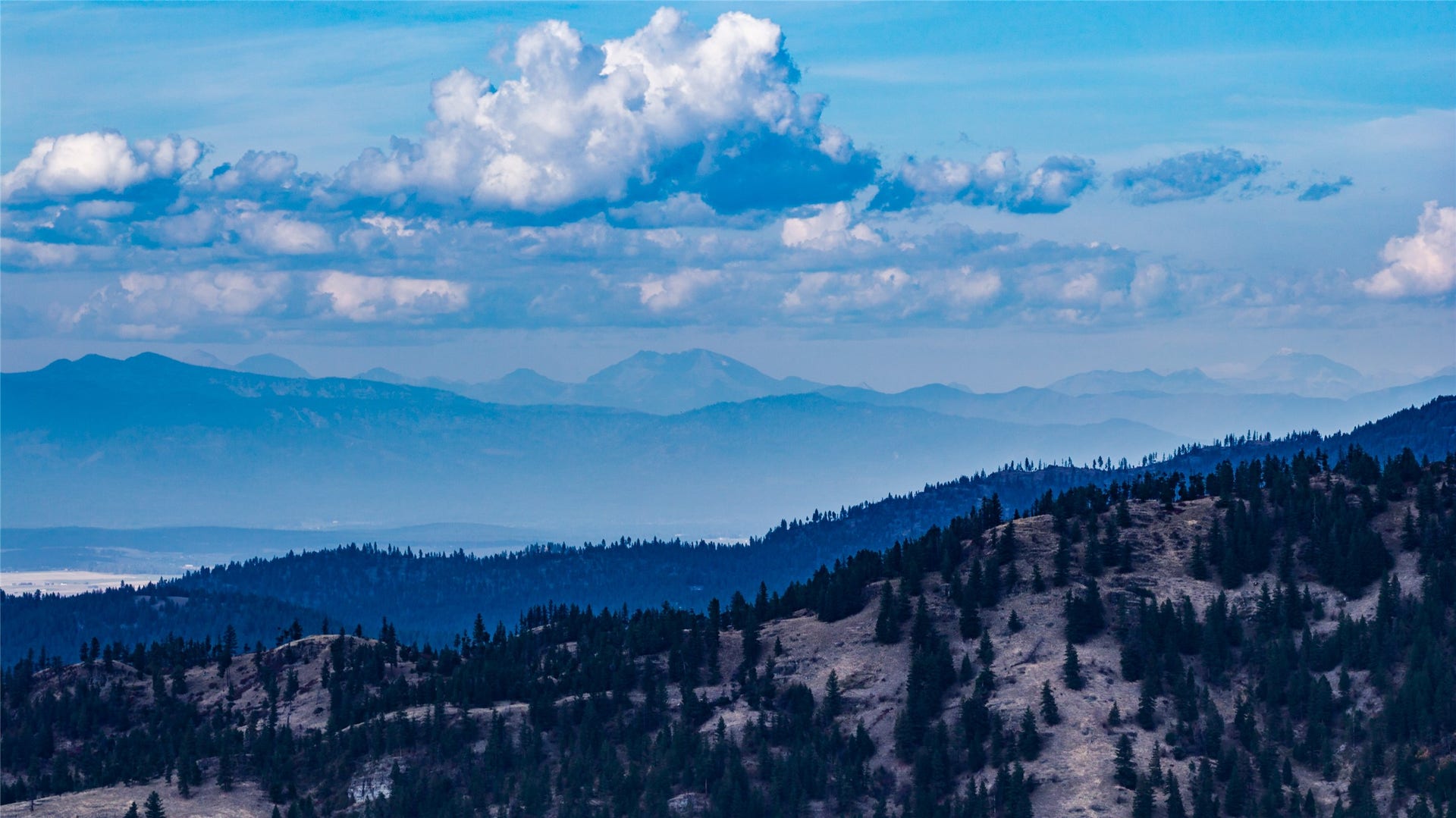 NHN & 232 Wild Bill Trail, Kila, MT 59920