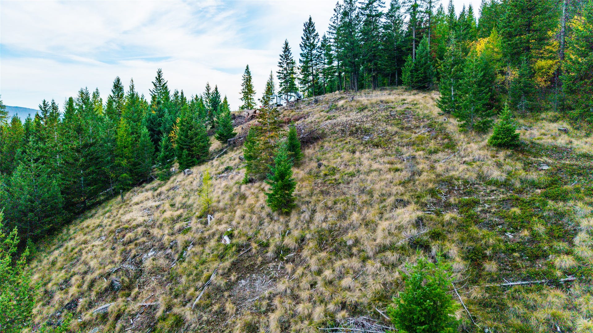 NHN & 232 Wild Bill Trail, Kila, MT 59920