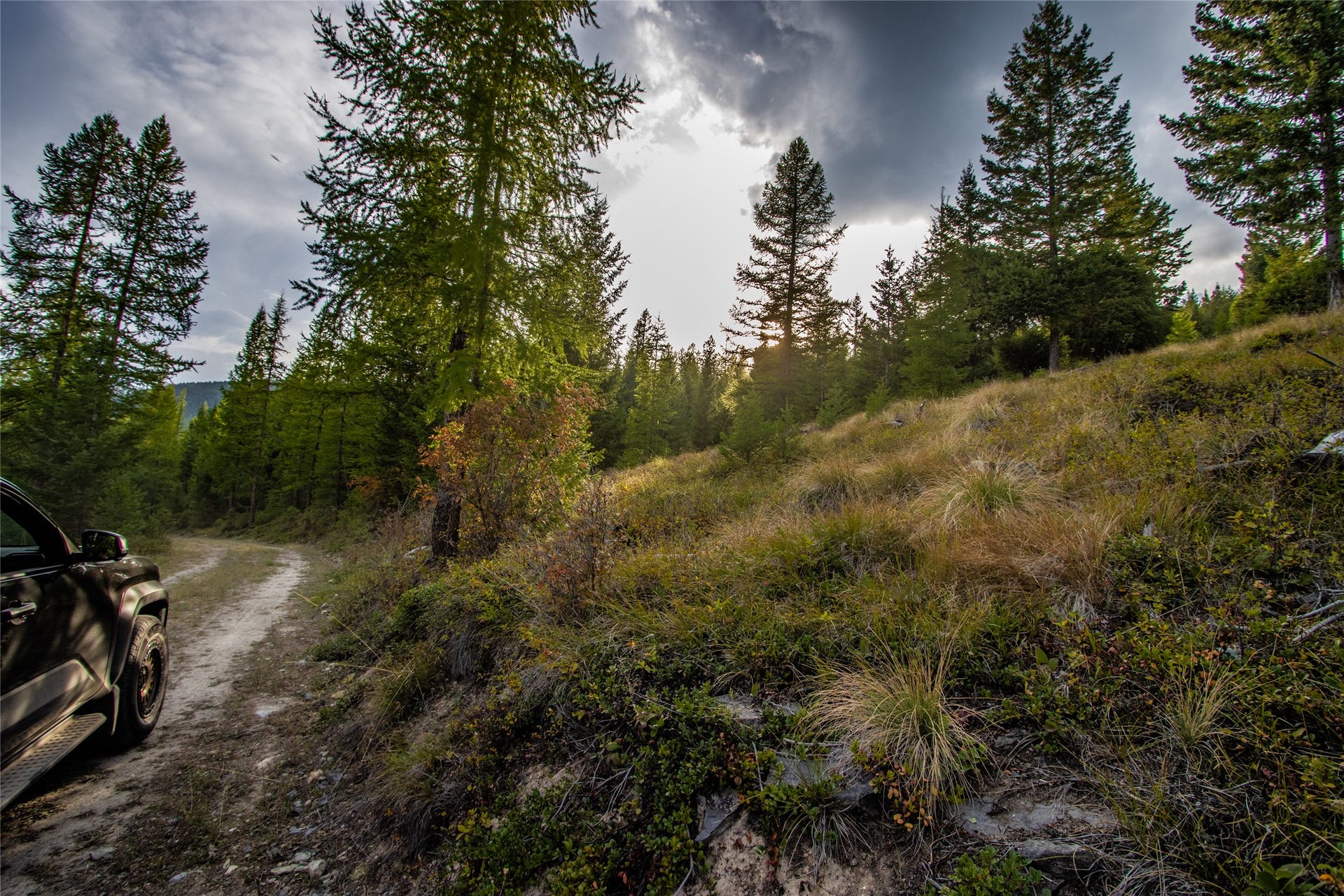 NHN & 232 Wild Bill Trail, Kila, MT 59920