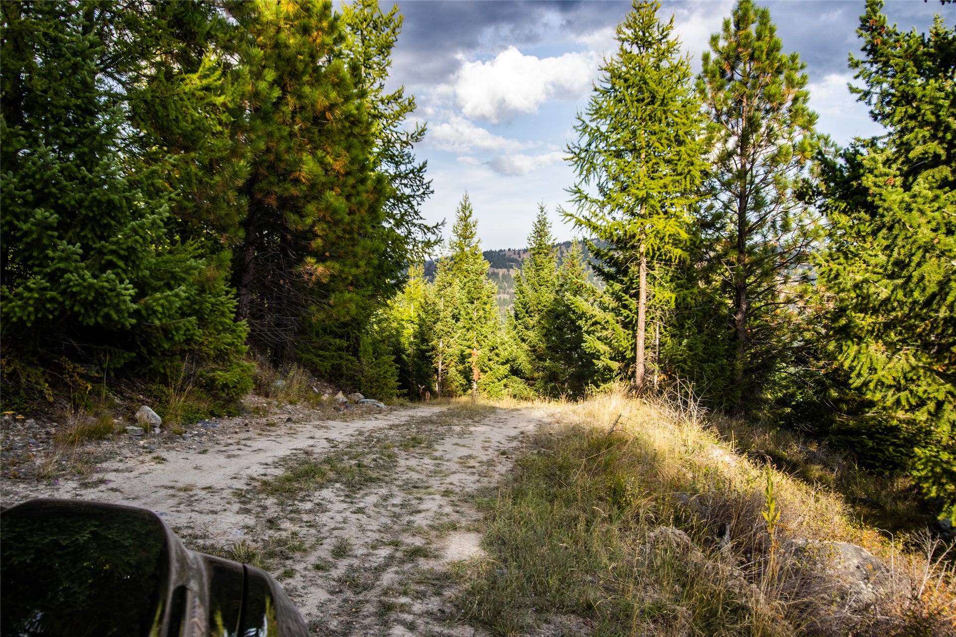 NHN & 232 Wild Bill Trail, Kila, MT 59920