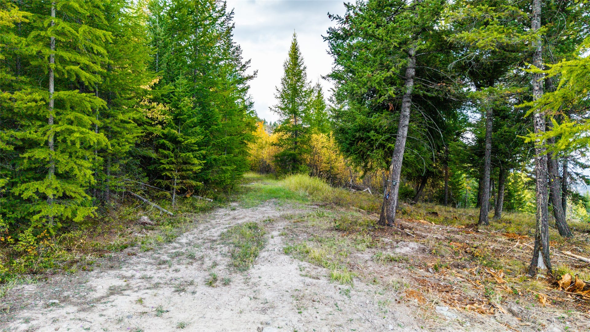 NHN & 232 Wild Bill Trail, Kila, MT 59920