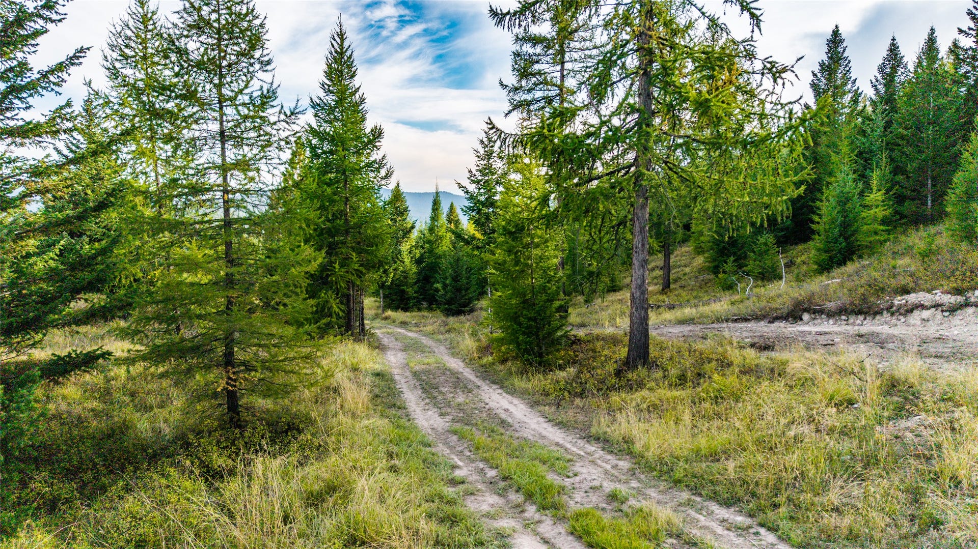 NHN & 232 Wild Bill Trail, Kila, MT 59920