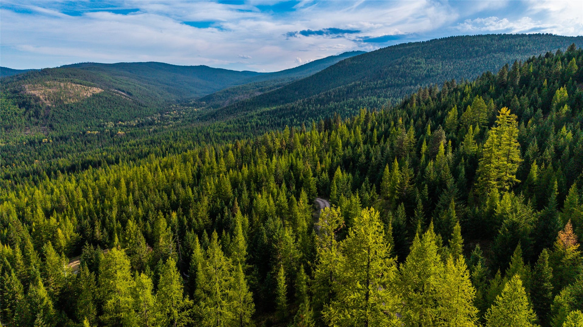 NHN & 232 Wild Bill Trail, Kila, MT 59920