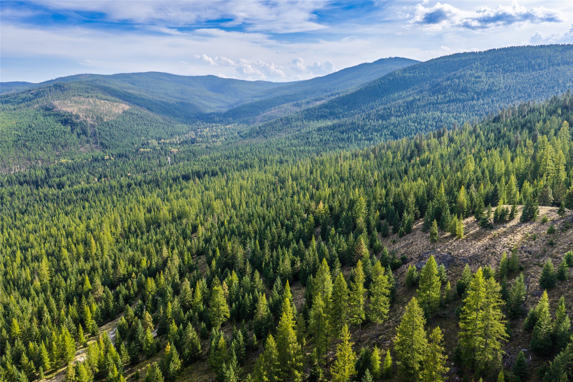 NHN & 232 Wild Bill Trail, Kila, MT 59920
