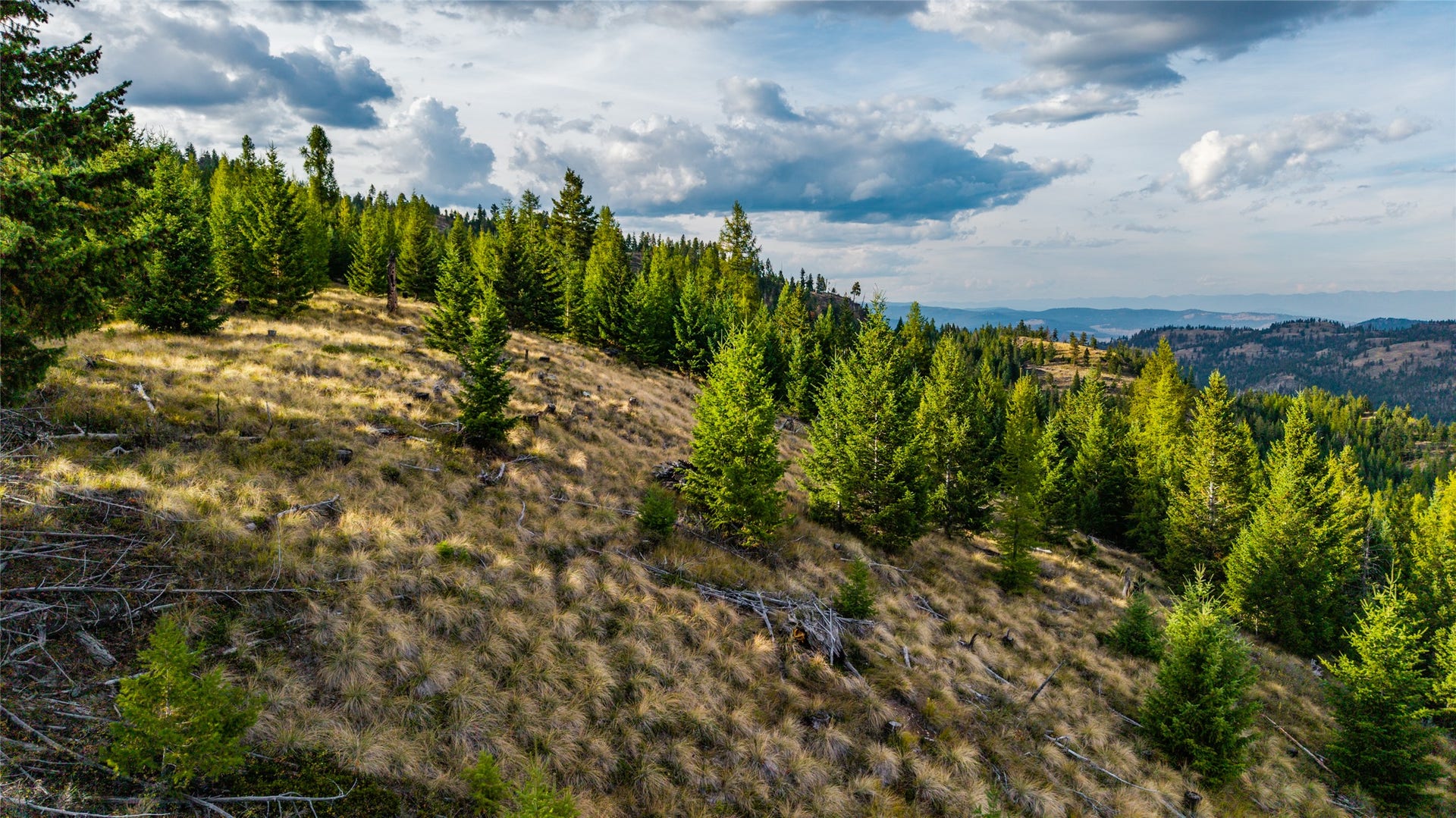 NHN & 232 Wild Bill Trail, Kila, MT 59920