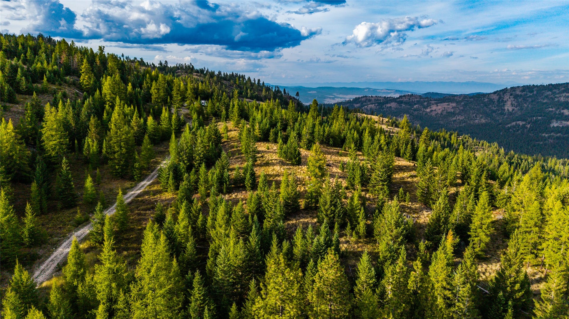 NHN & 232 Wild Bill Trail, Kila, MT 59920