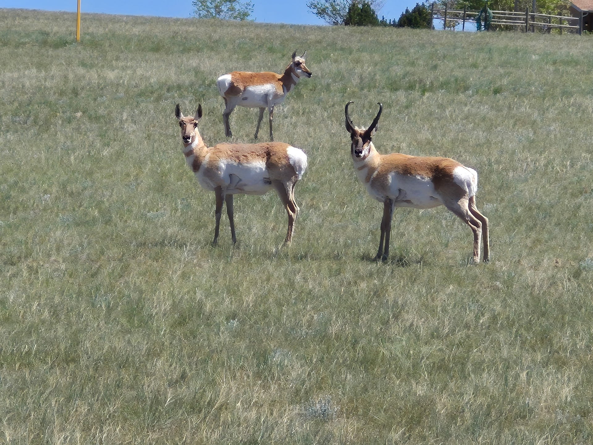 4599 Emerald Ridge Loop, Helena, MT 59602 4599 Emerald Ridge Loop, Helena, MT 59602