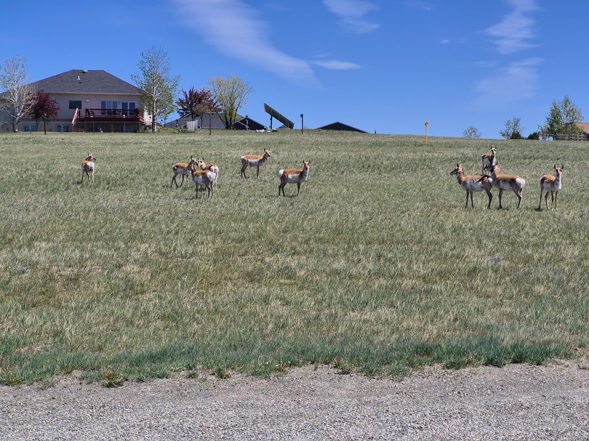 4599 Emerald Ridge Loop, Helena, MT 59602 4599 Emerald Ridge Loop, Helena, MT 59602