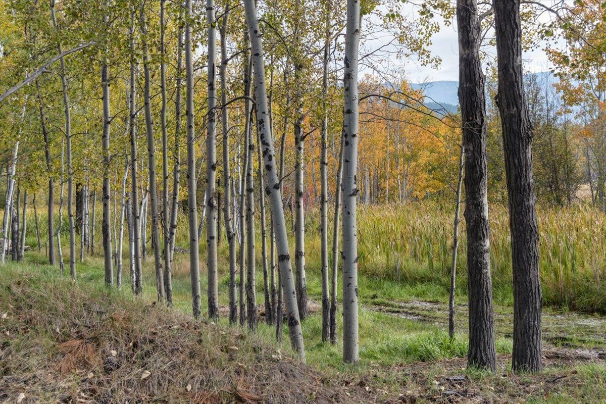 386,414,440 Holt Drive, Bigfork, MT 59911 386,414,440 Holt Drive, Bigfork, MT 59911