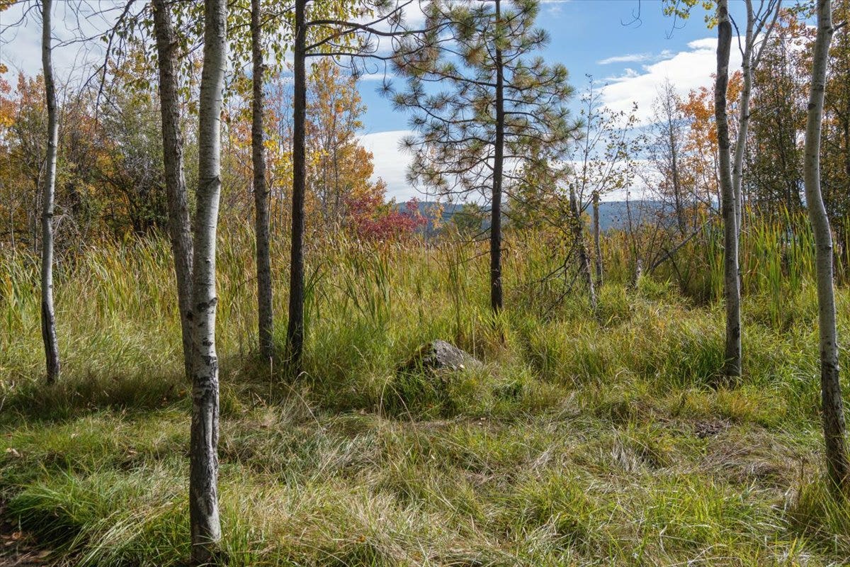 386,414,440 Holt Drive, Bigfork, MT 59911 386,414,440 Holt Drive, Bigfork, MT 59911